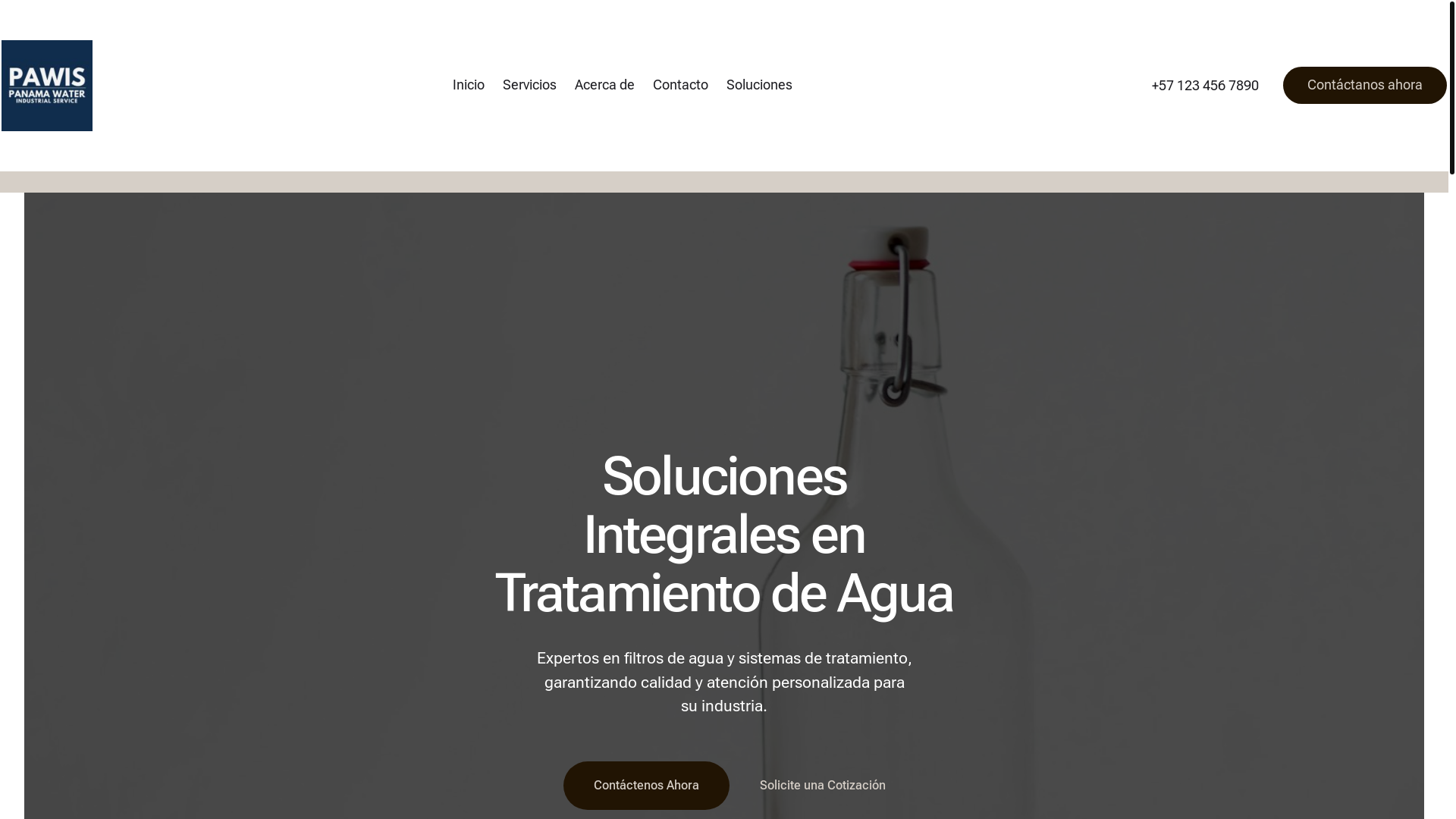 website screenshot of https://panawis.com/