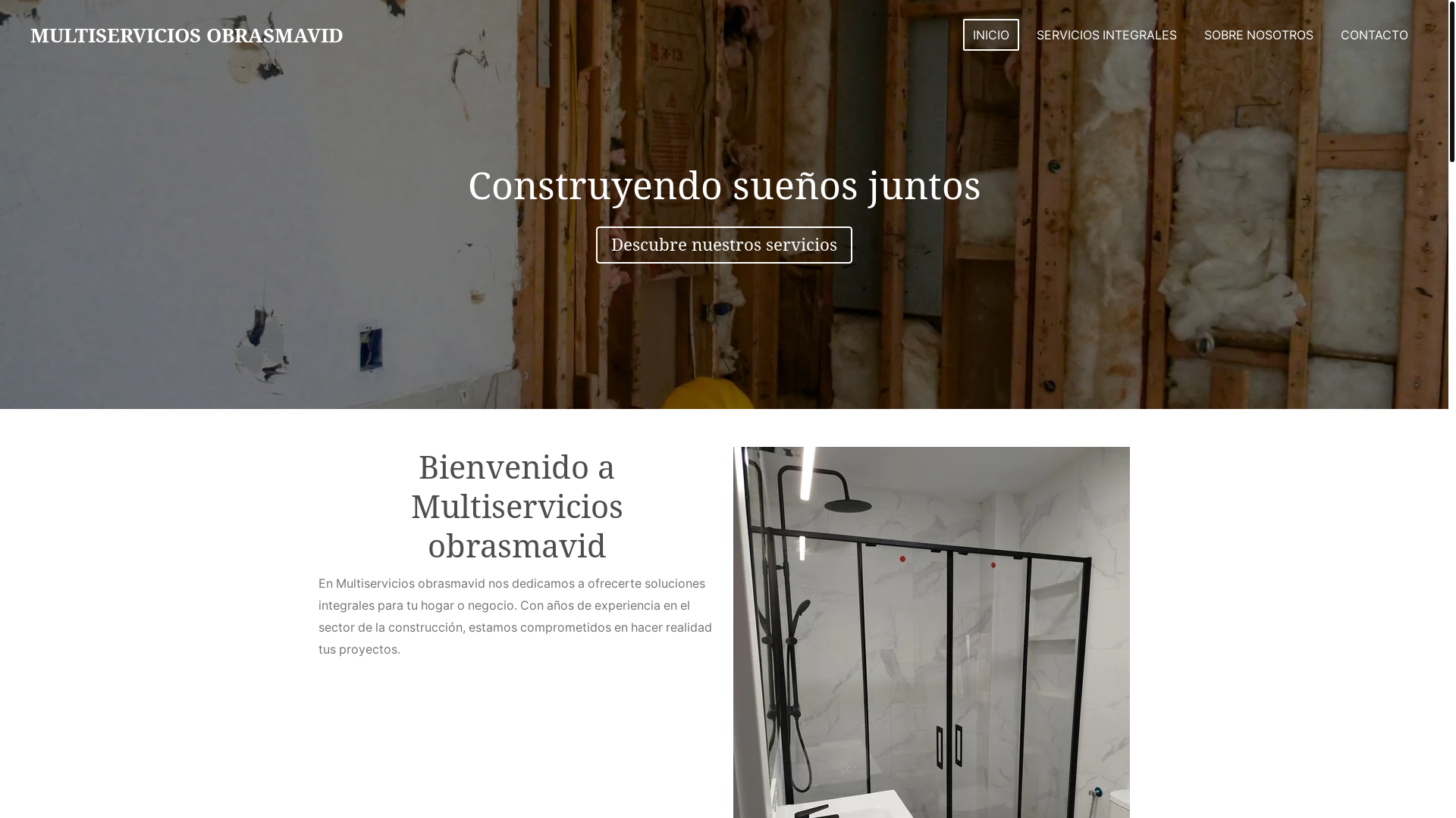 website screenshot of https://multiserviciosobrasmavid.com/