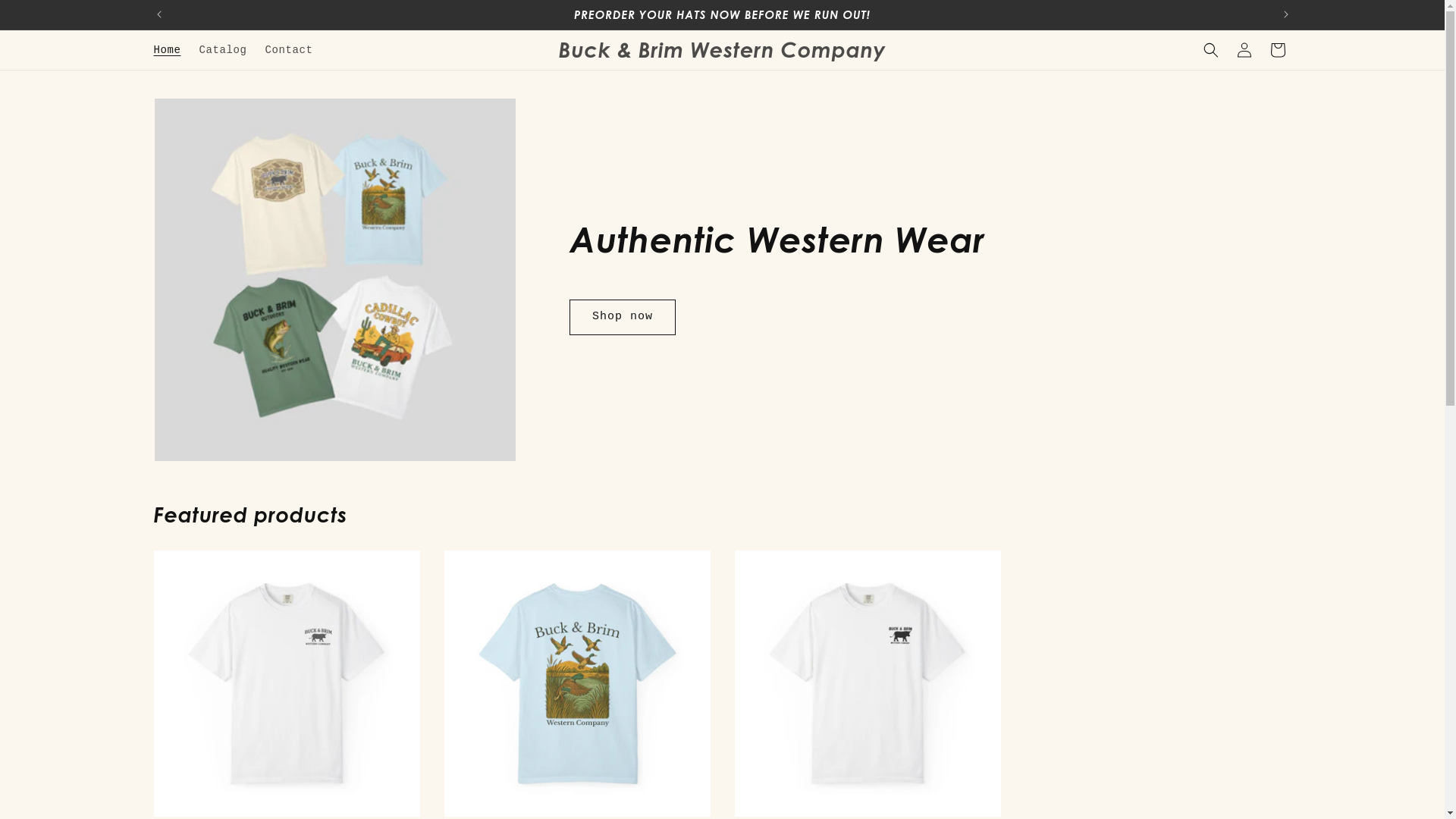 website screenshot of https://buckandbrimwestern.com/