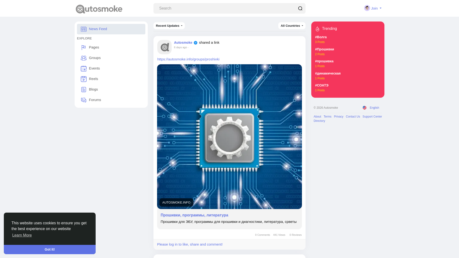website screenshot of https://autosmoke.info/