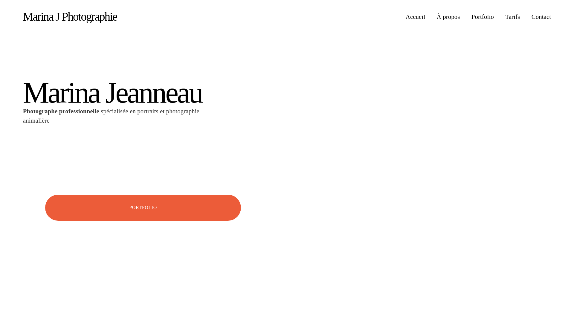 website screenshot of https://marinajphotographie.fr/