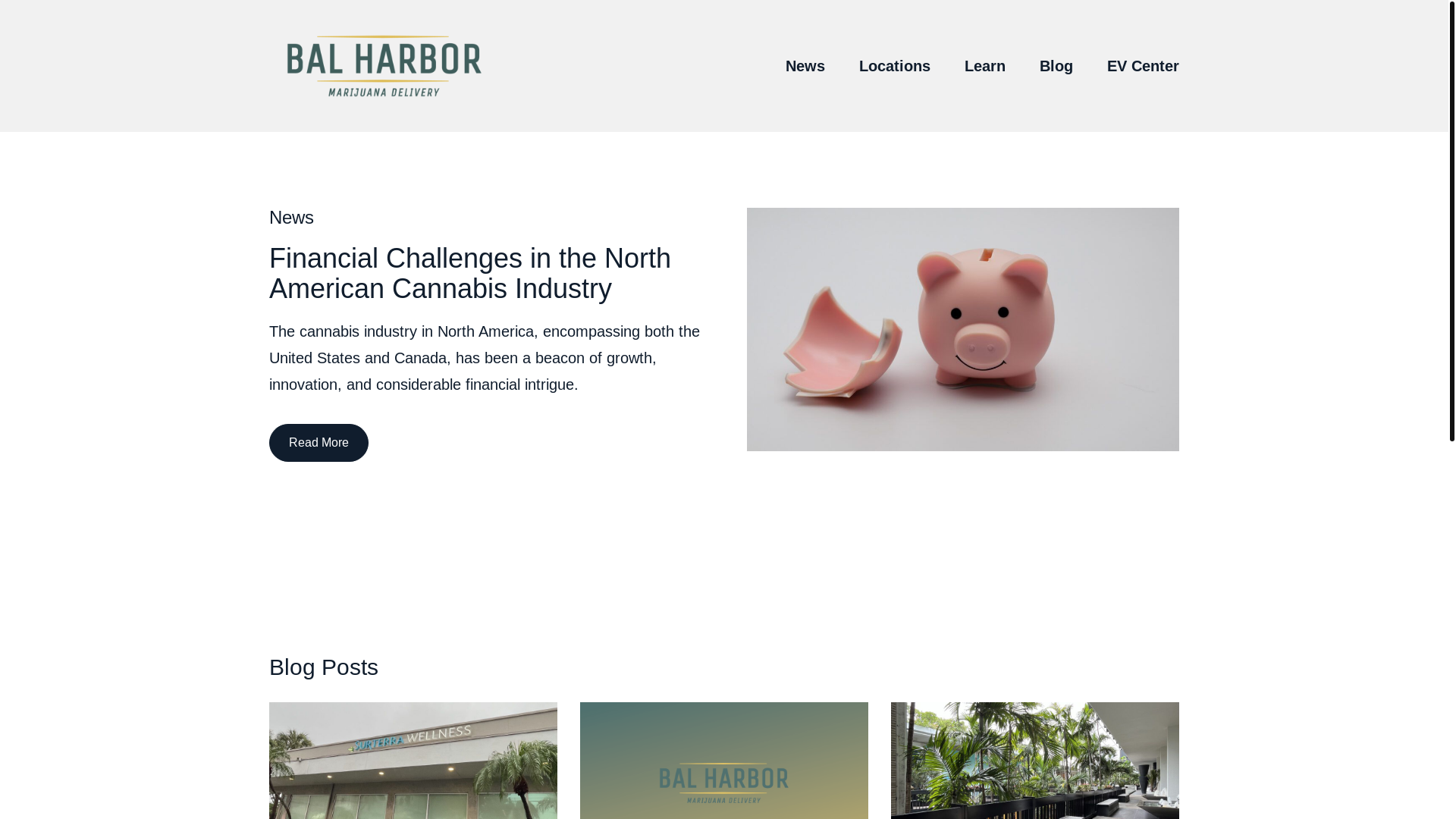 website screenshot of https://balharbormarijuanadelivery-com.pages.dev/