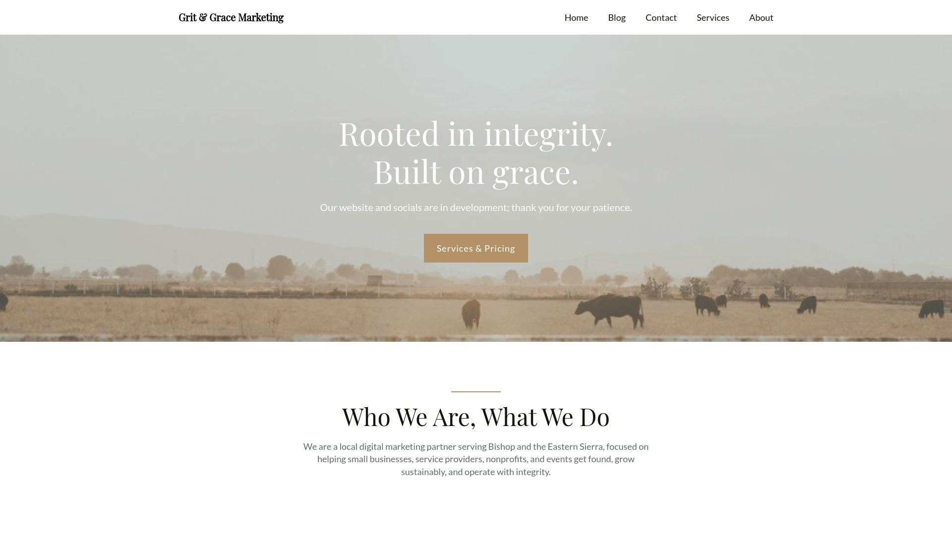 website screenshot of https://gritgracemarketing.com