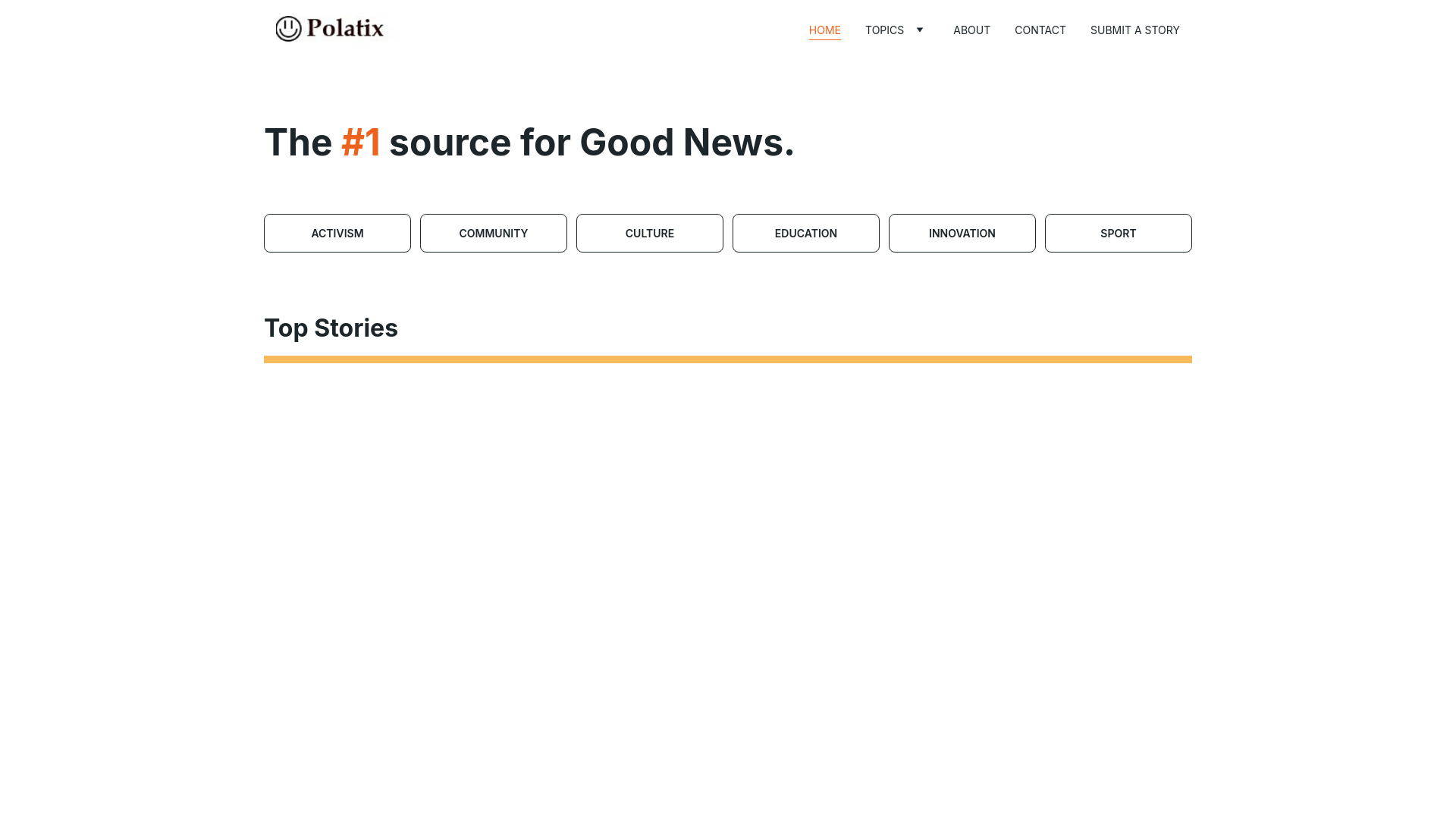 website screenshot of https://polatix.net/
