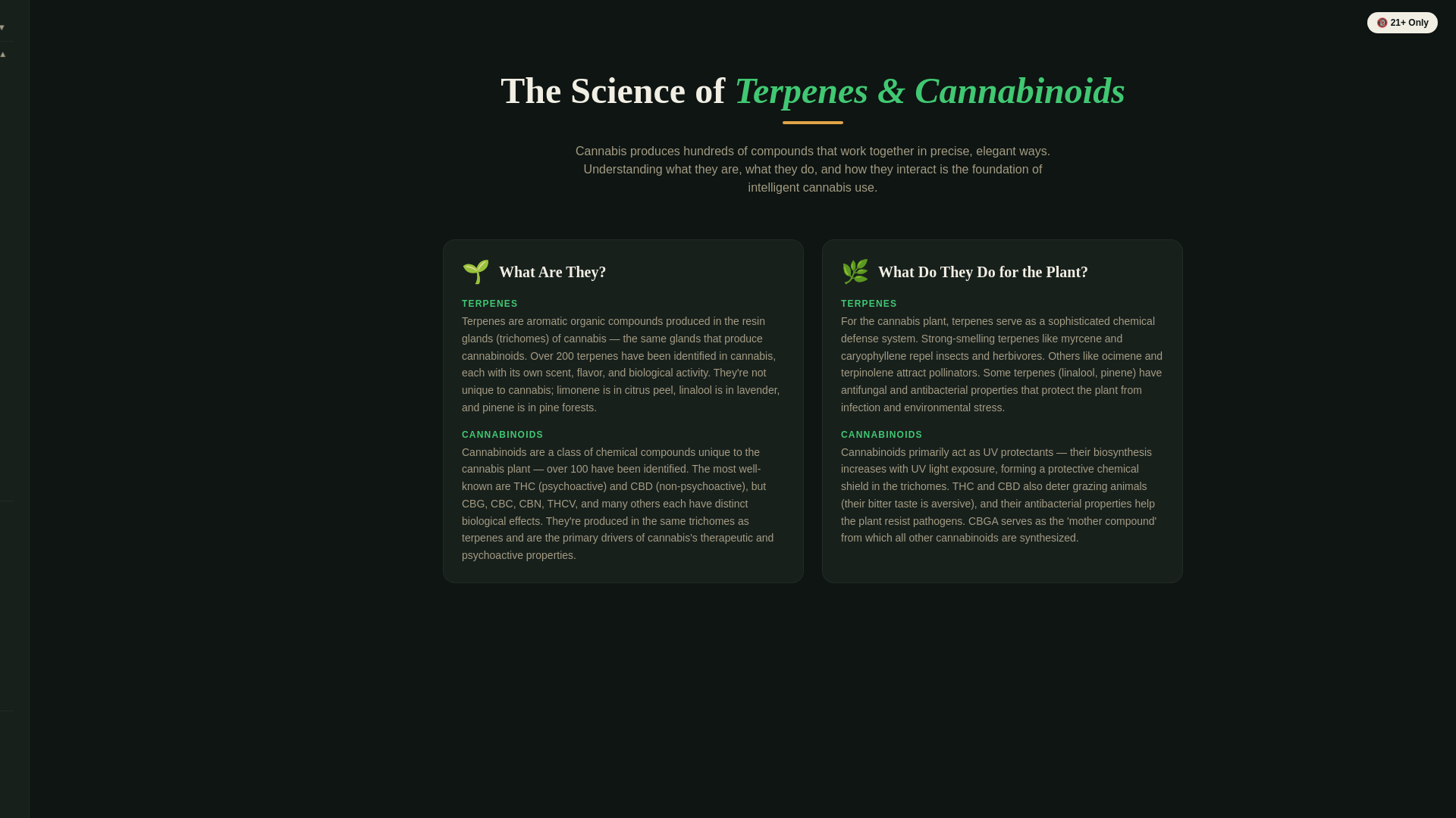 website screenshot of https://terpene-wisdom-well.com