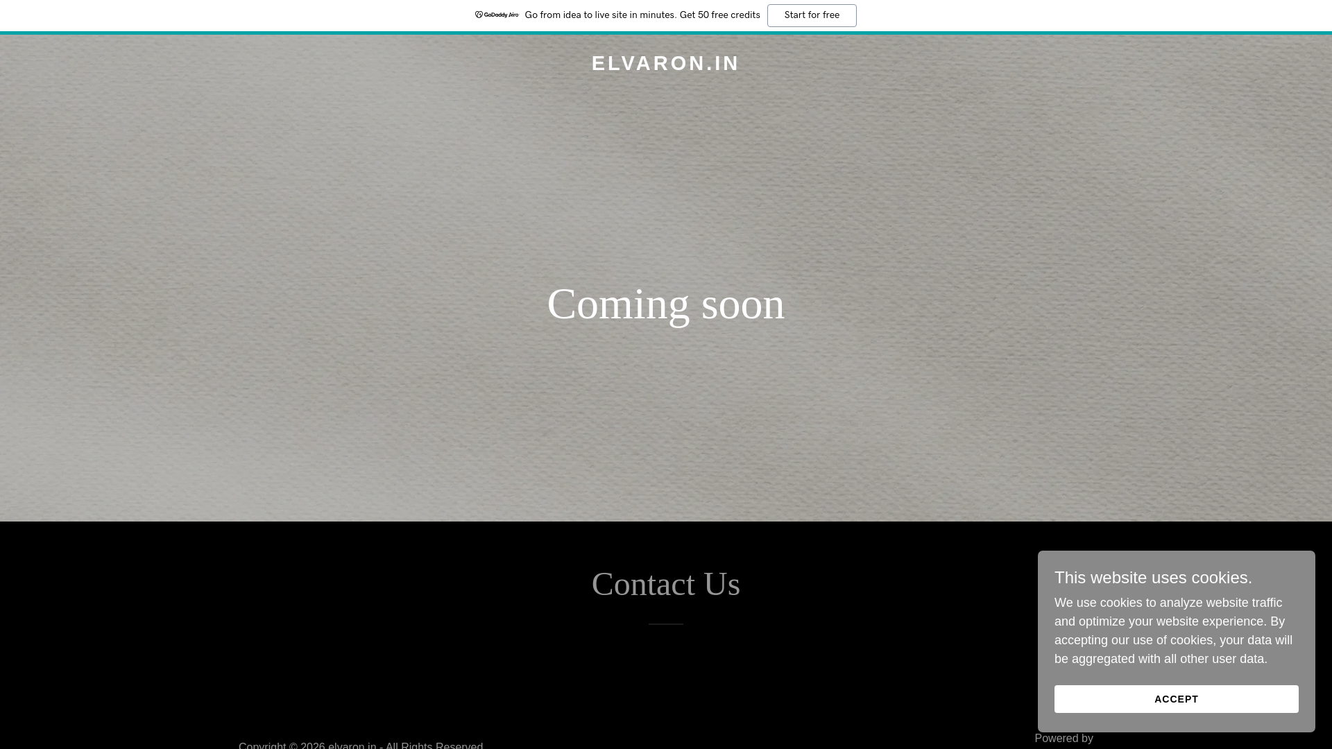 website screenshot of https://elvaron.in/