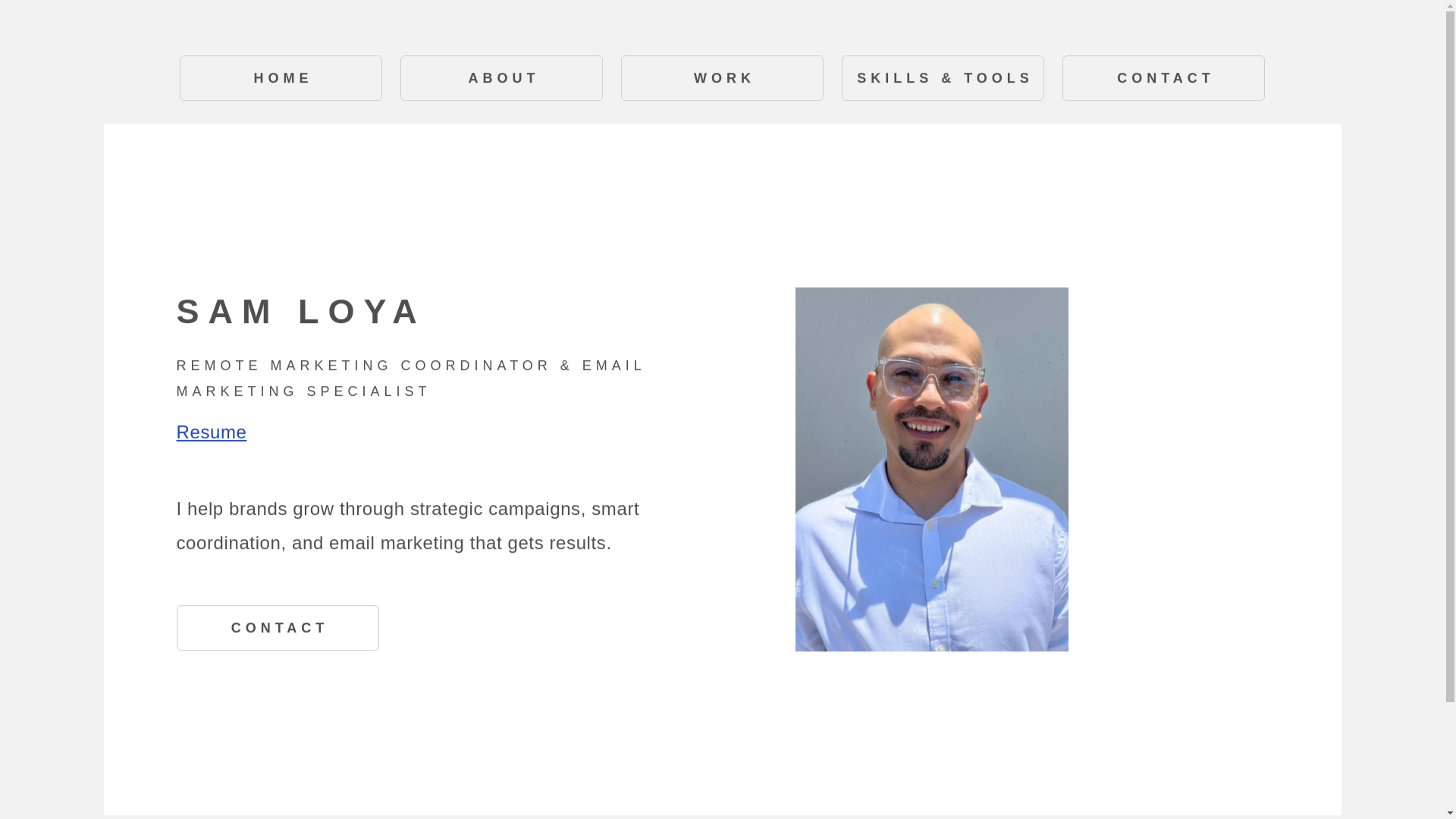 website screenshot of https://samloyamarketing.com/