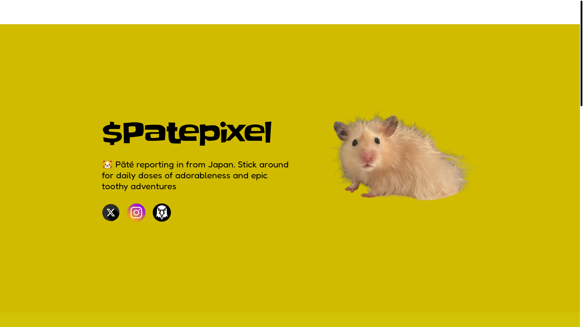 website screenshot of https://patepixel.space/