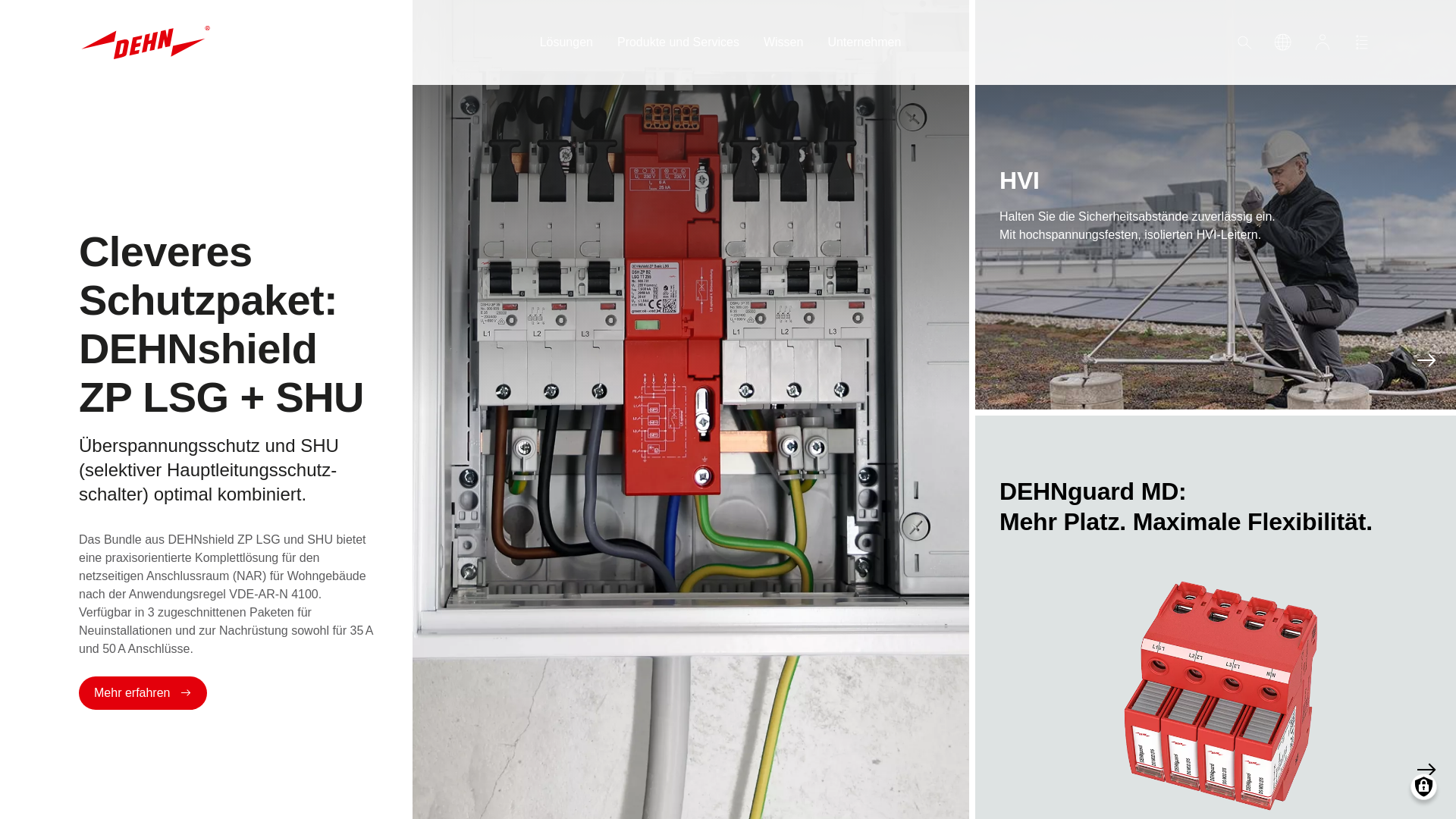 website screenshot of https://dehn.de/