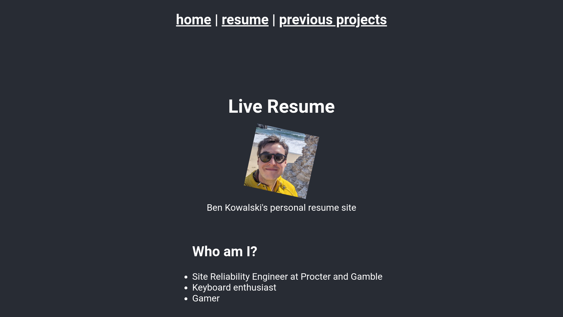 website screenshot of https://bearington.cv/