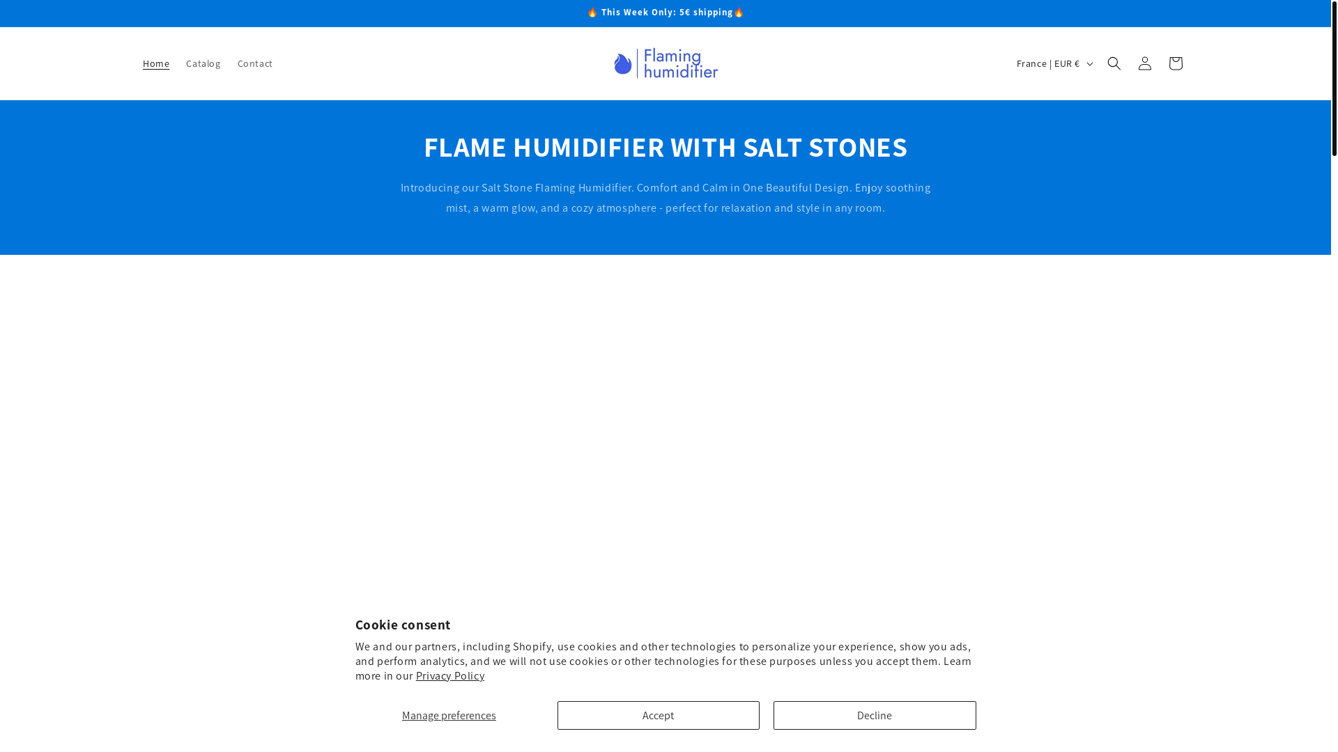 website screenshot of https://flaminghumiditier.com/