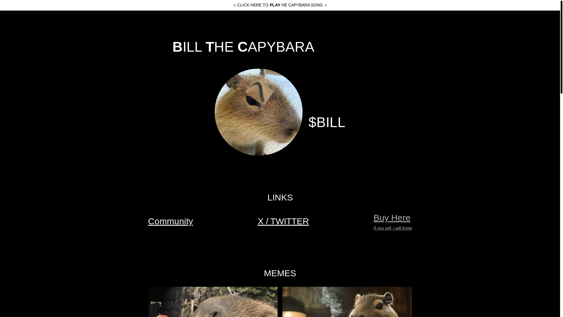 website screenshot of https://capybarabill.pages.dev/