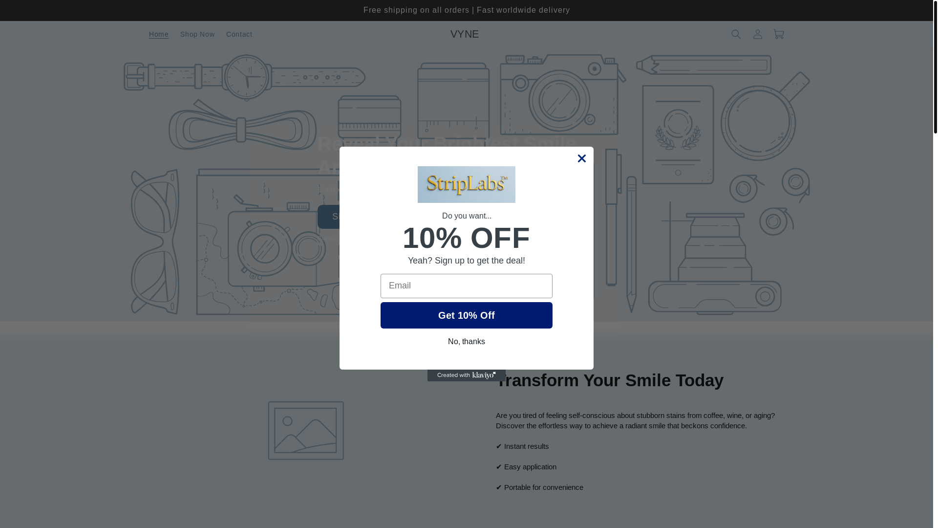 website screenshot of https://vynesolutions.store/