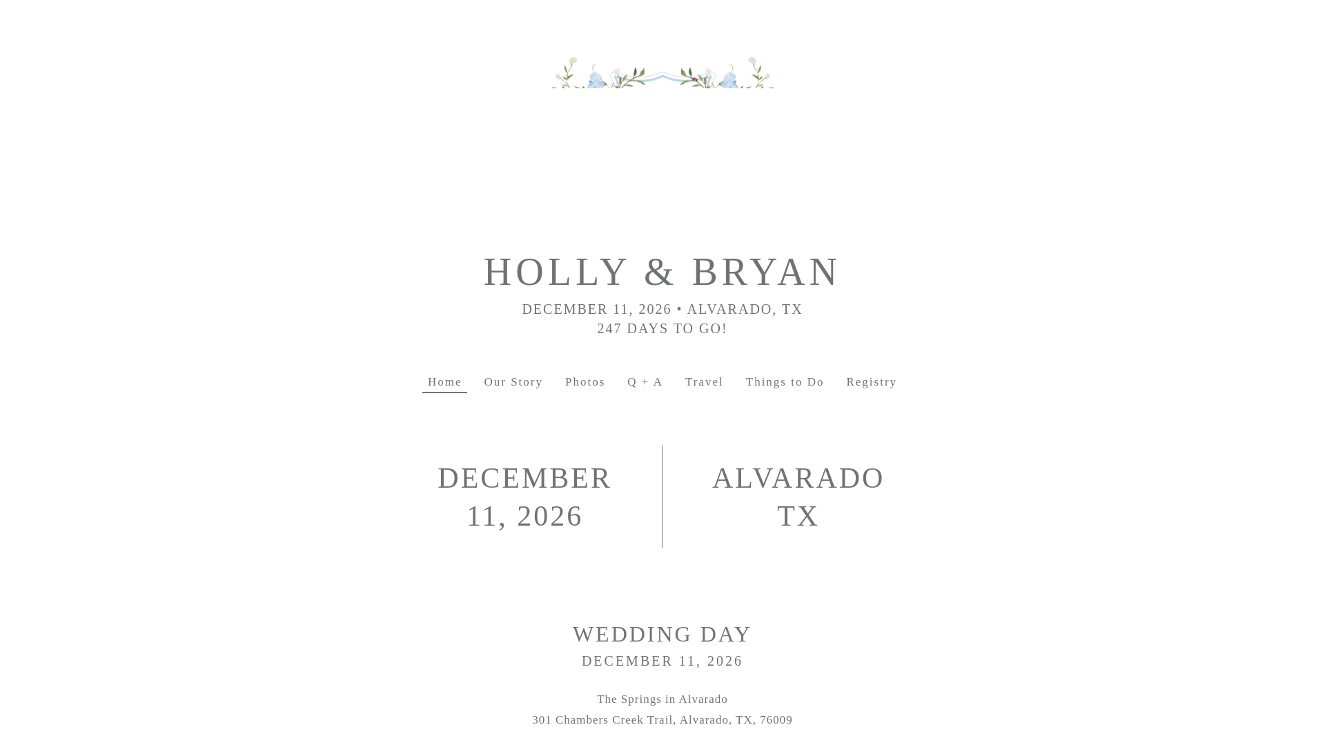 website screenshot of https://hollyandbryan.us/