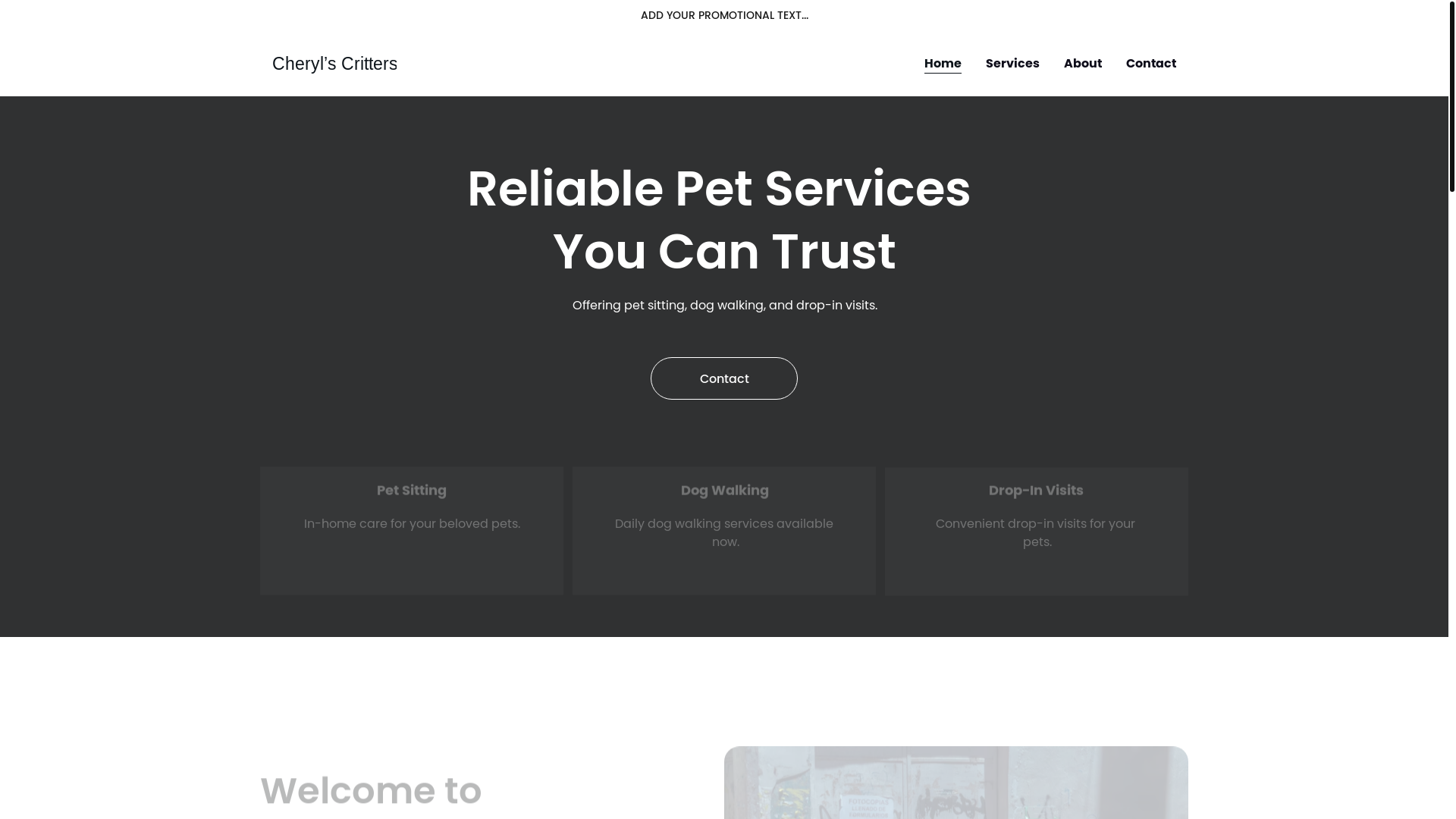website screenshot of https://cherylscritters.com/