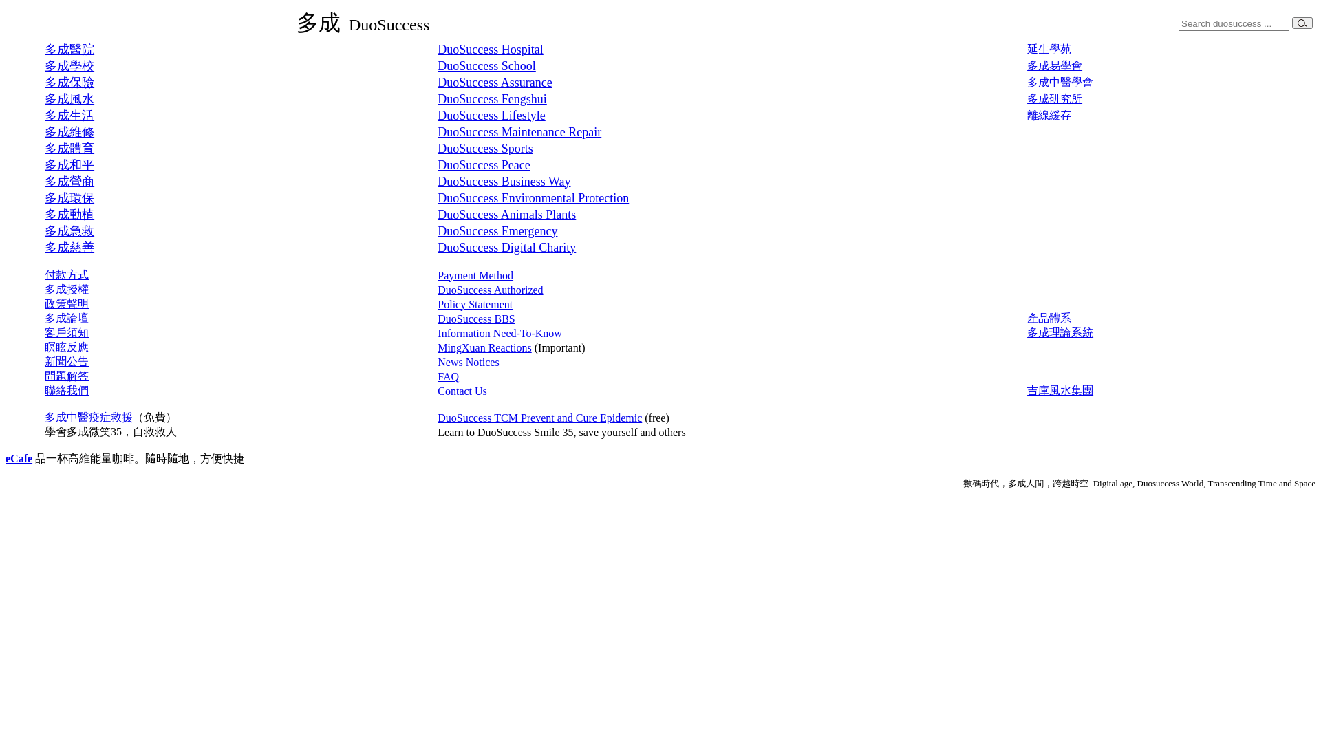 website screenshot of https://duosuccess.net/