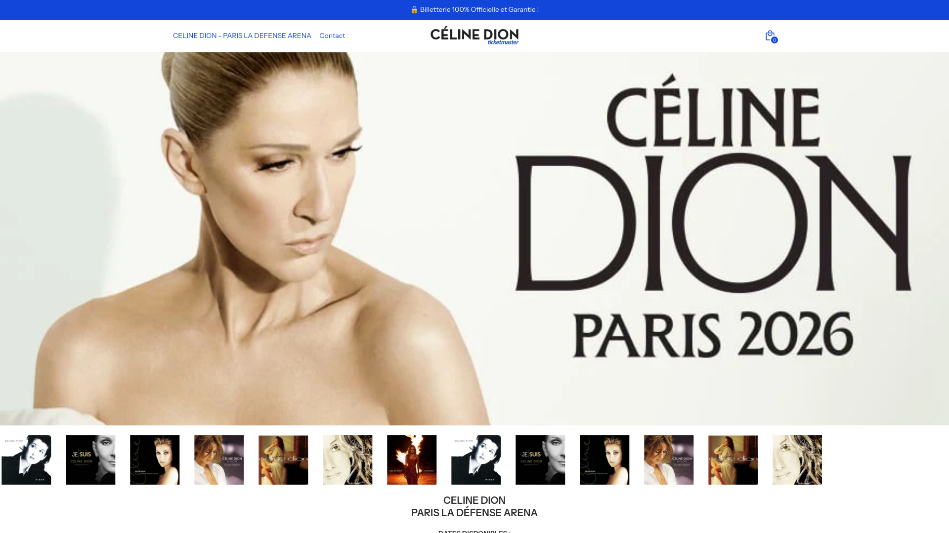 website screenshot of https://ticketmaster-celinedion.fr
