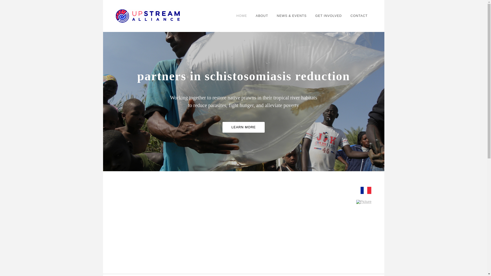 website screenshot of https://upstream-alliance.org/