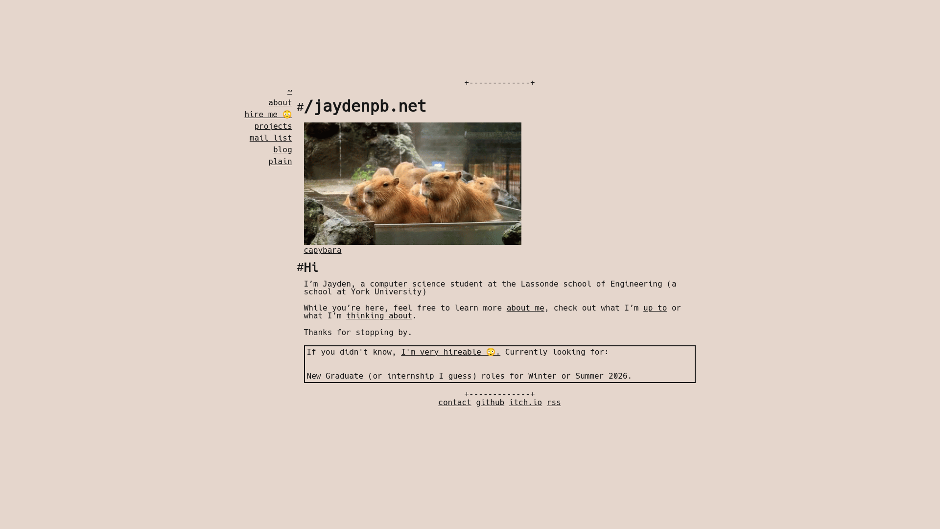 website screenshot of https://jaydenpb.net/