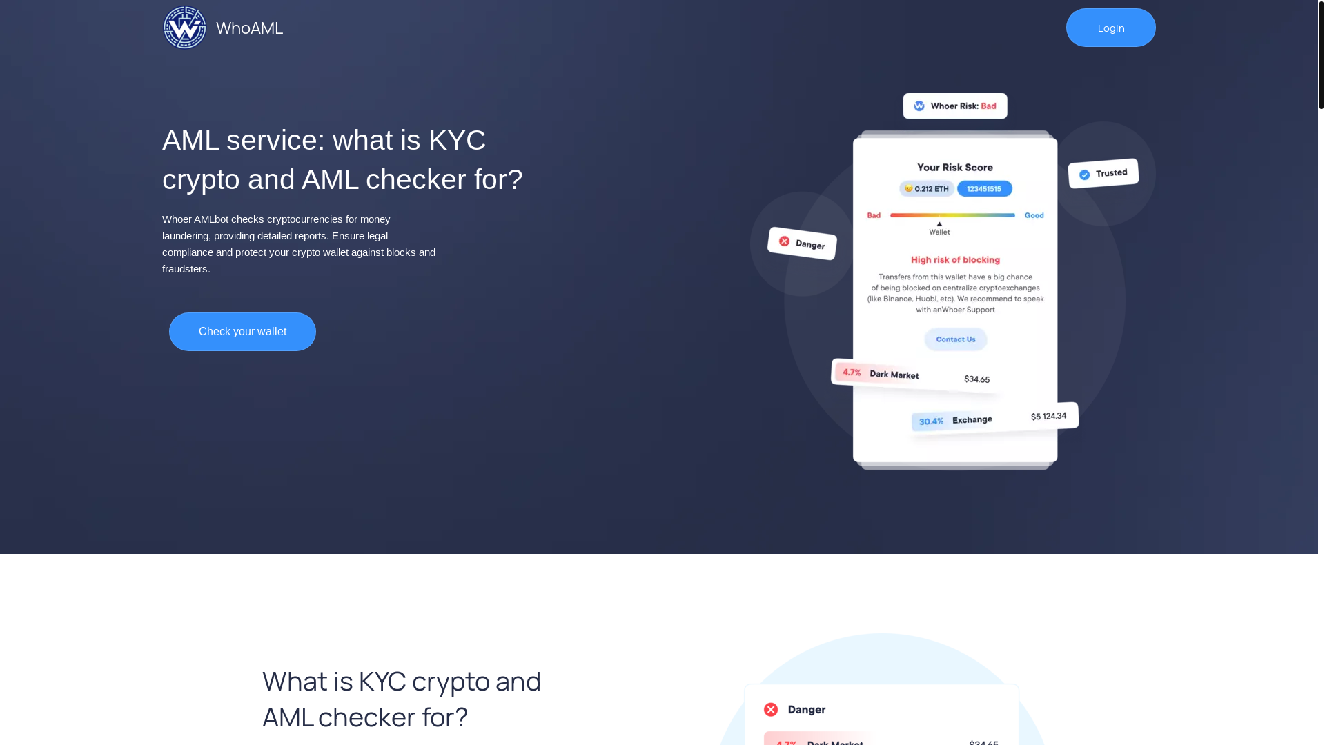 website screenshot of https://protection-aml.com/