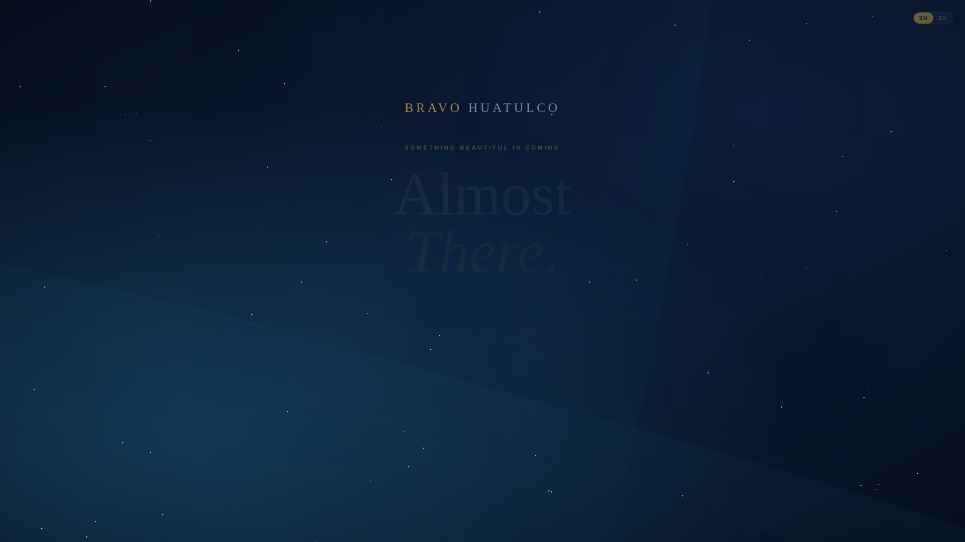 website screenshot of https://bravohuatulco.com/