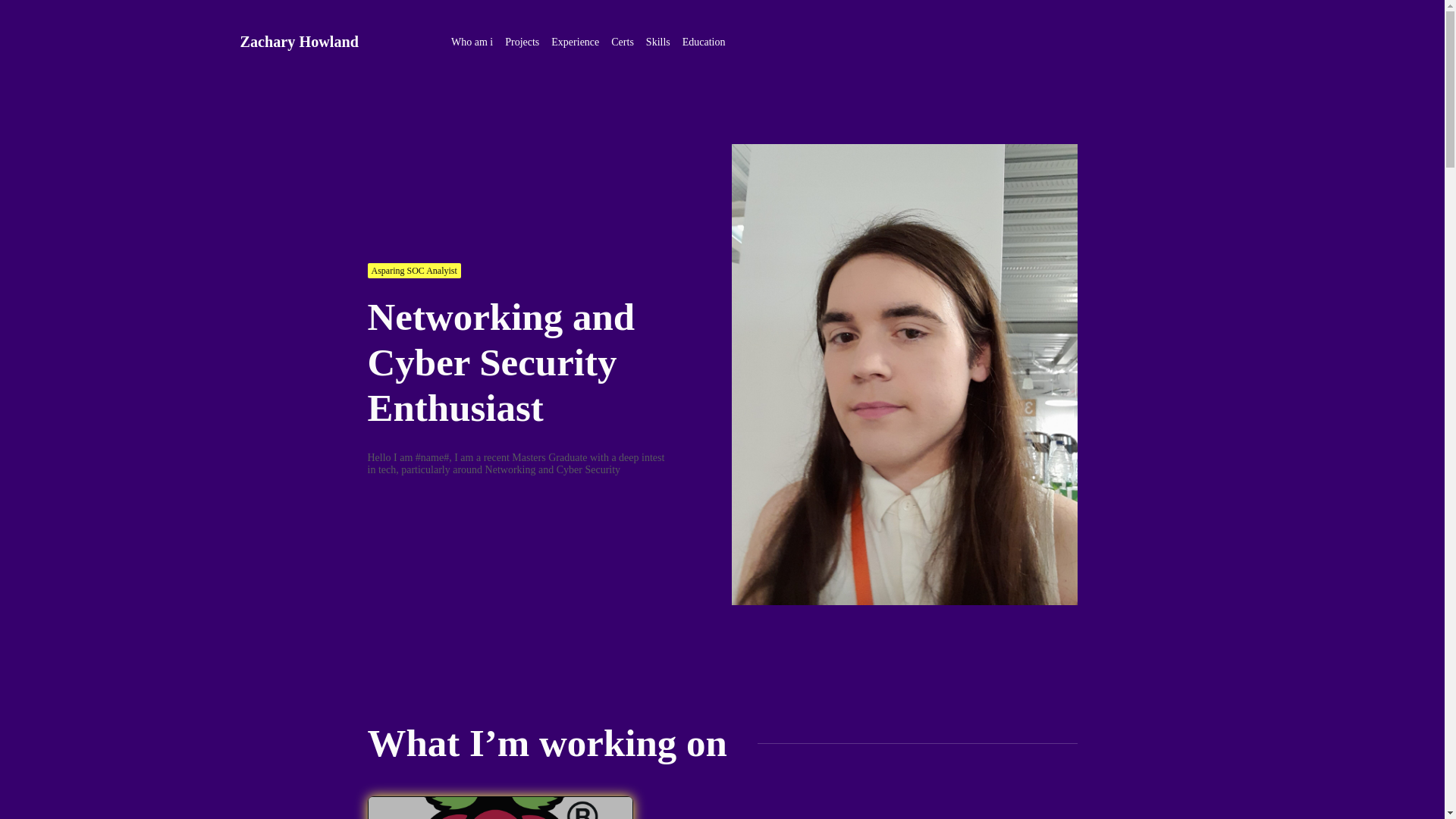 website screenshot of https://zhowland.tech/