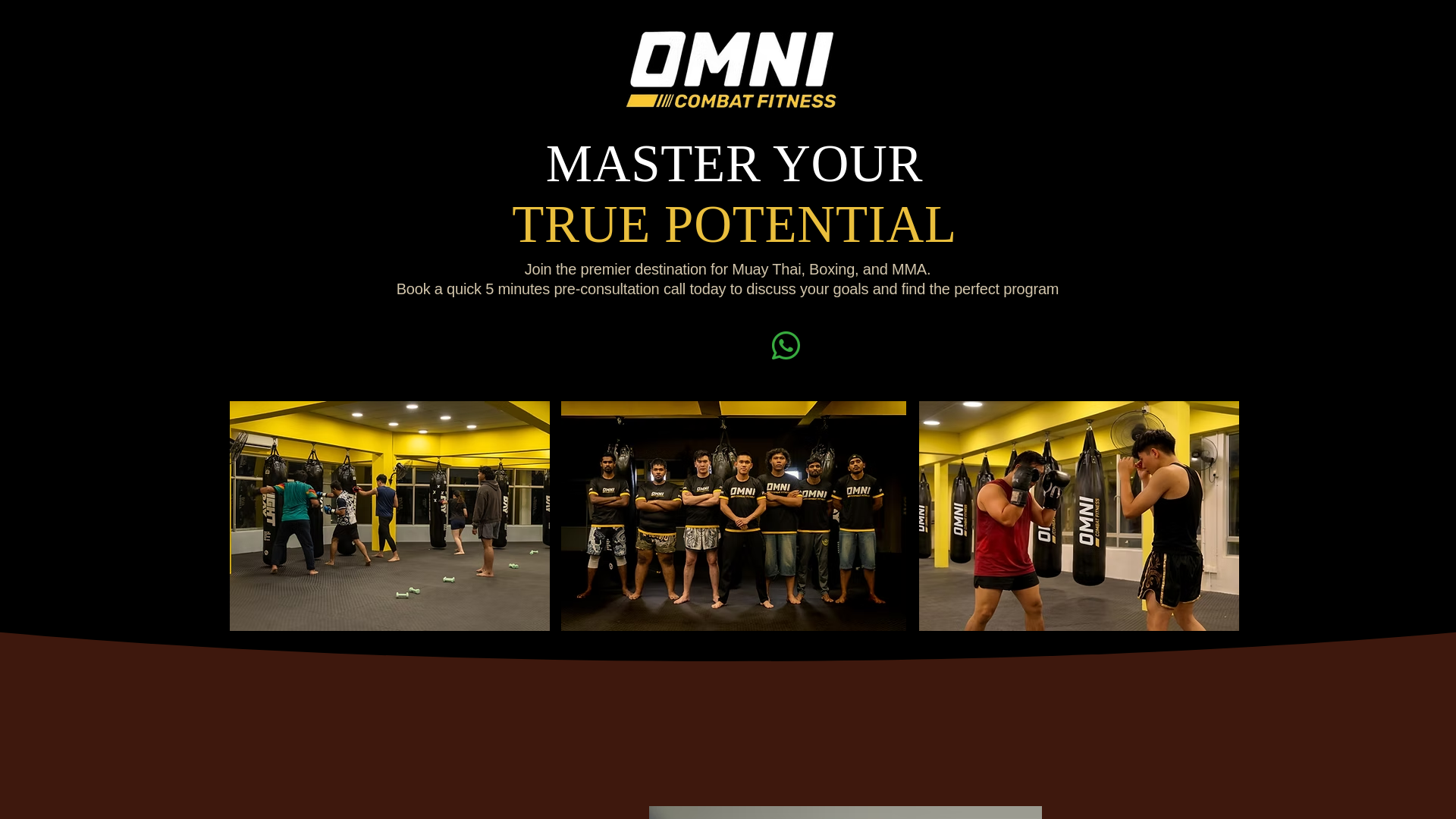 website screenshot of https://omnicombatfit.com/