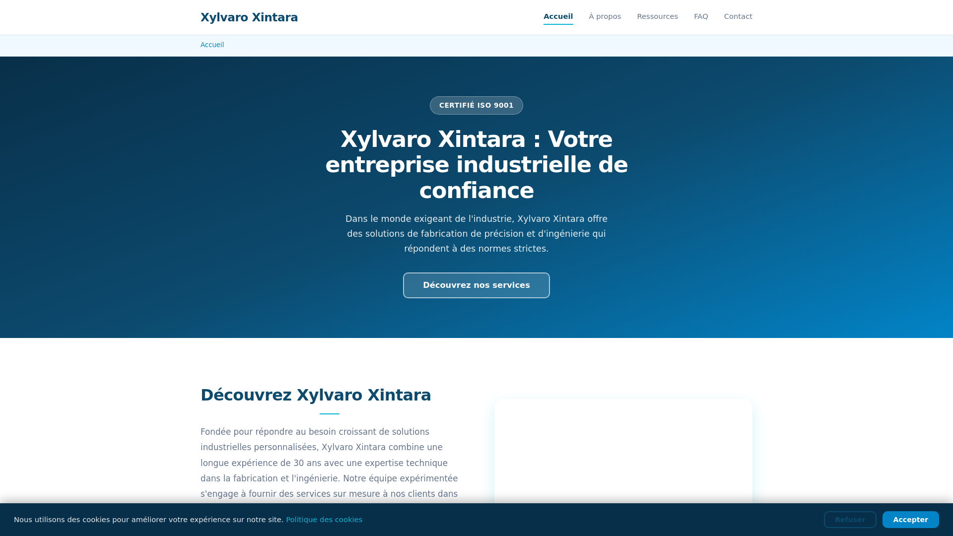 website screenshot of https://xylvaro-xintara.org/