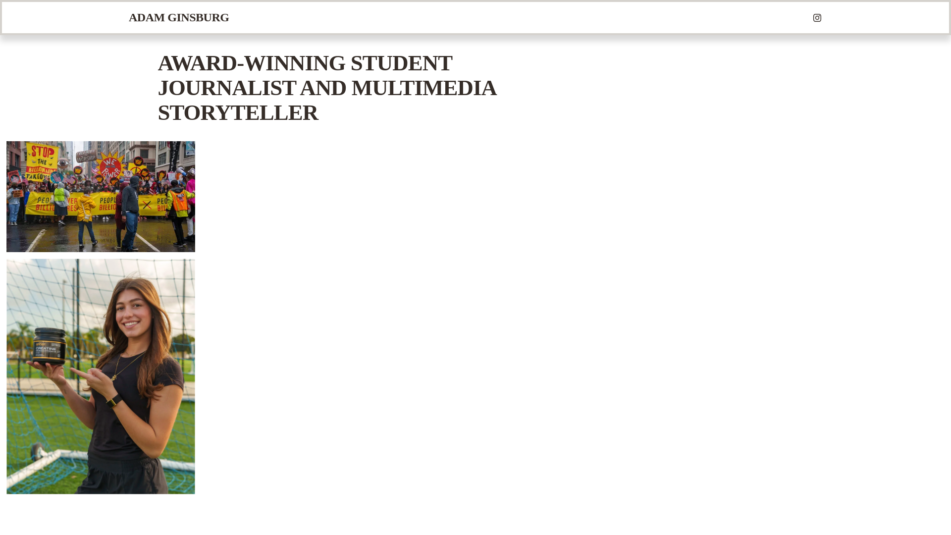 website screenshot of https://a-ginsburg.com/