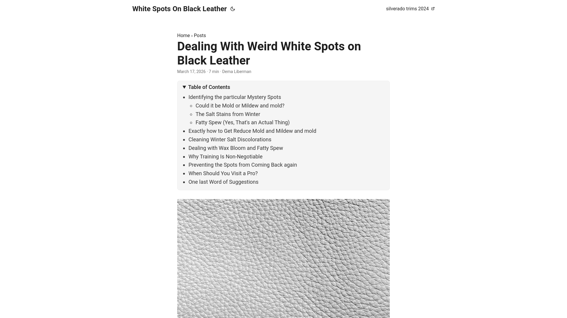 website screenshot of https://white-spots-on-black-leather.pages.dev/