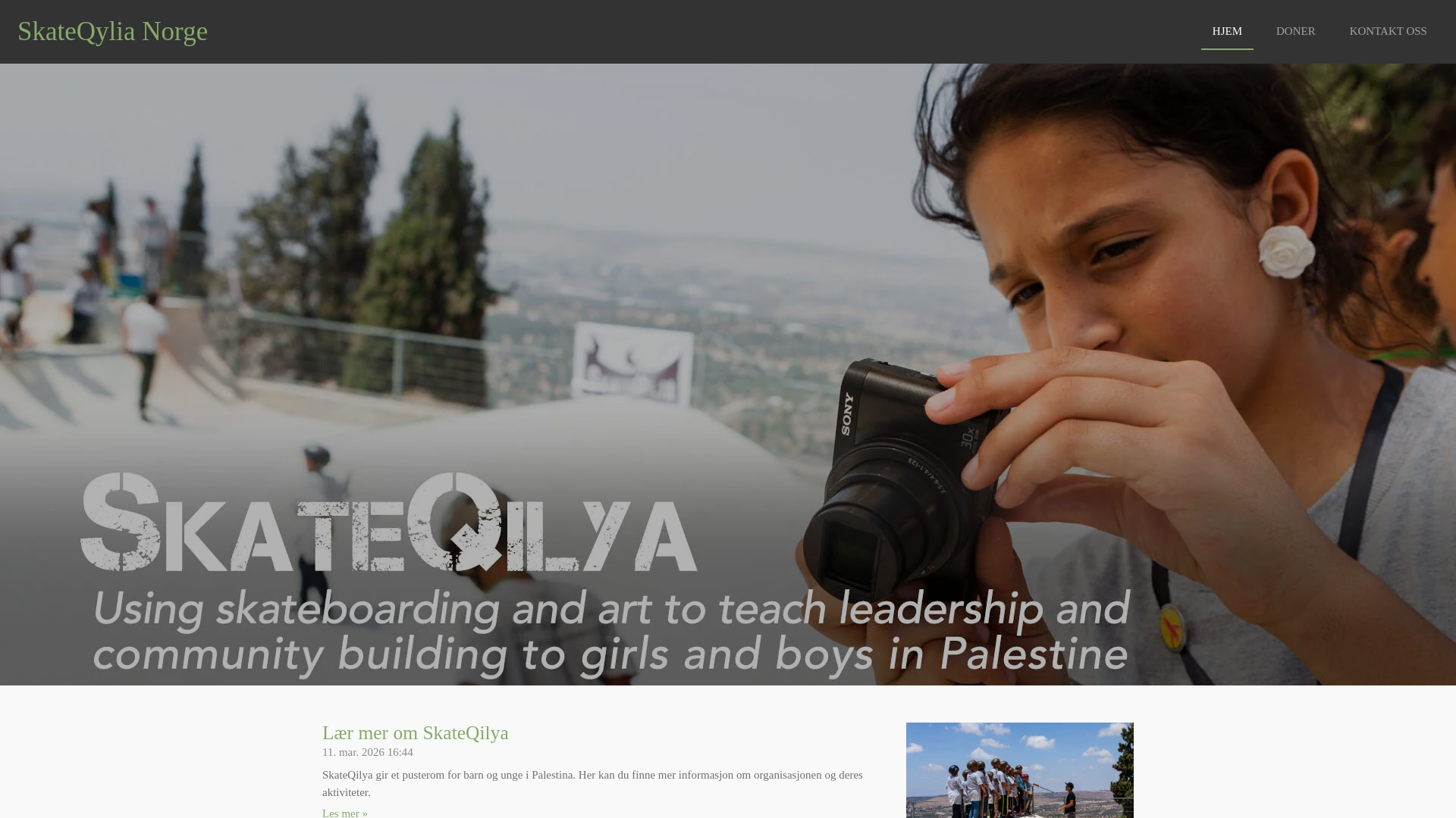 website screenshot of https://skateqylianorge.org/