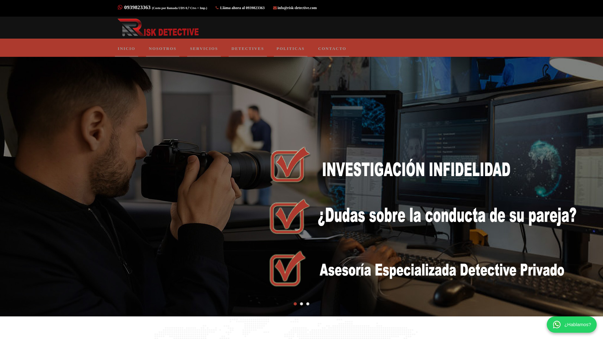 website screenshot of https://risk-detective.com/