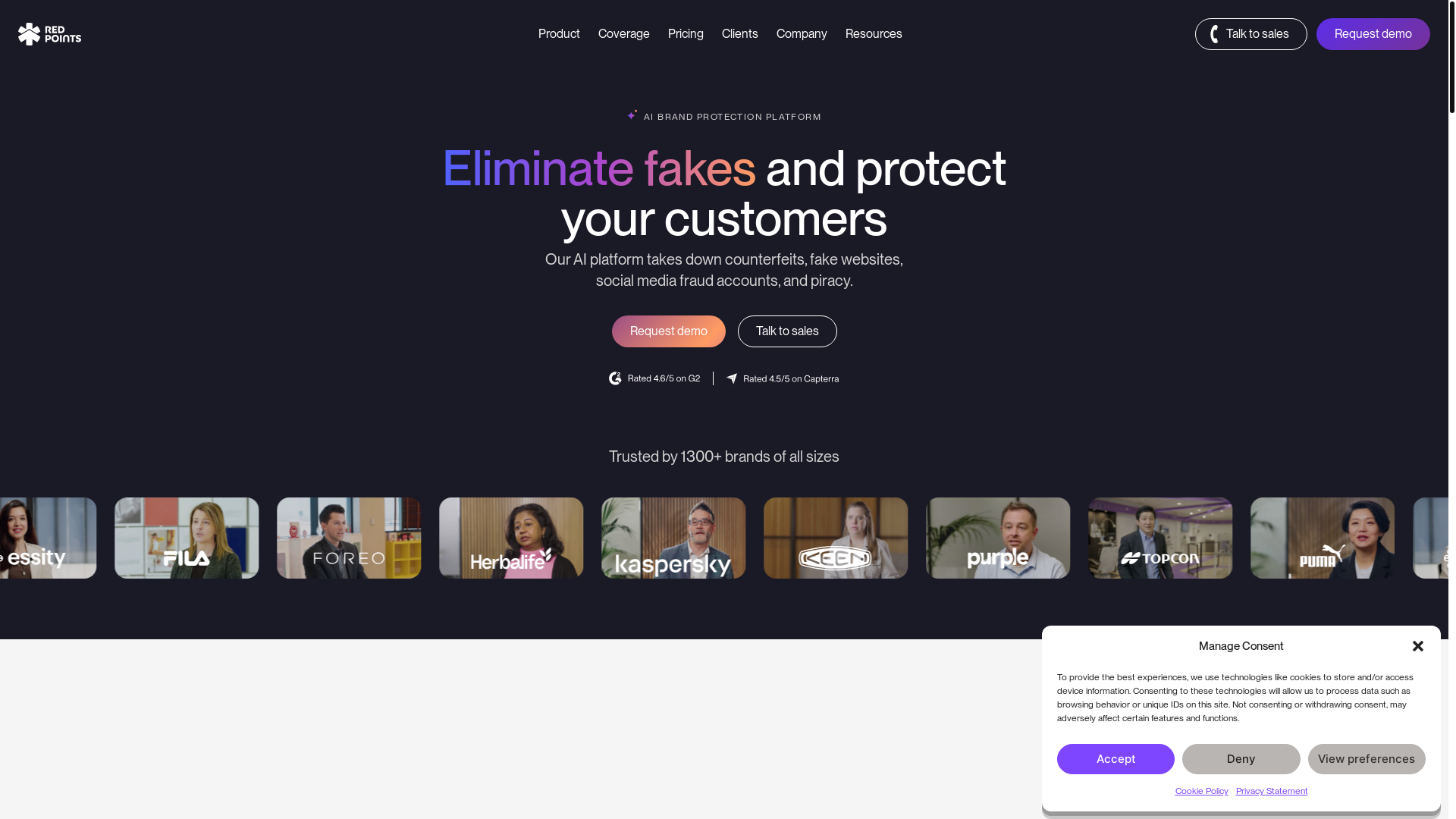 website screenshot of https://brand-protection.pro/