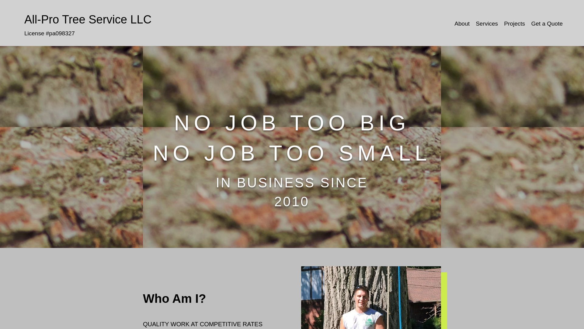 website screenshot of https://all-protreeservice.biz