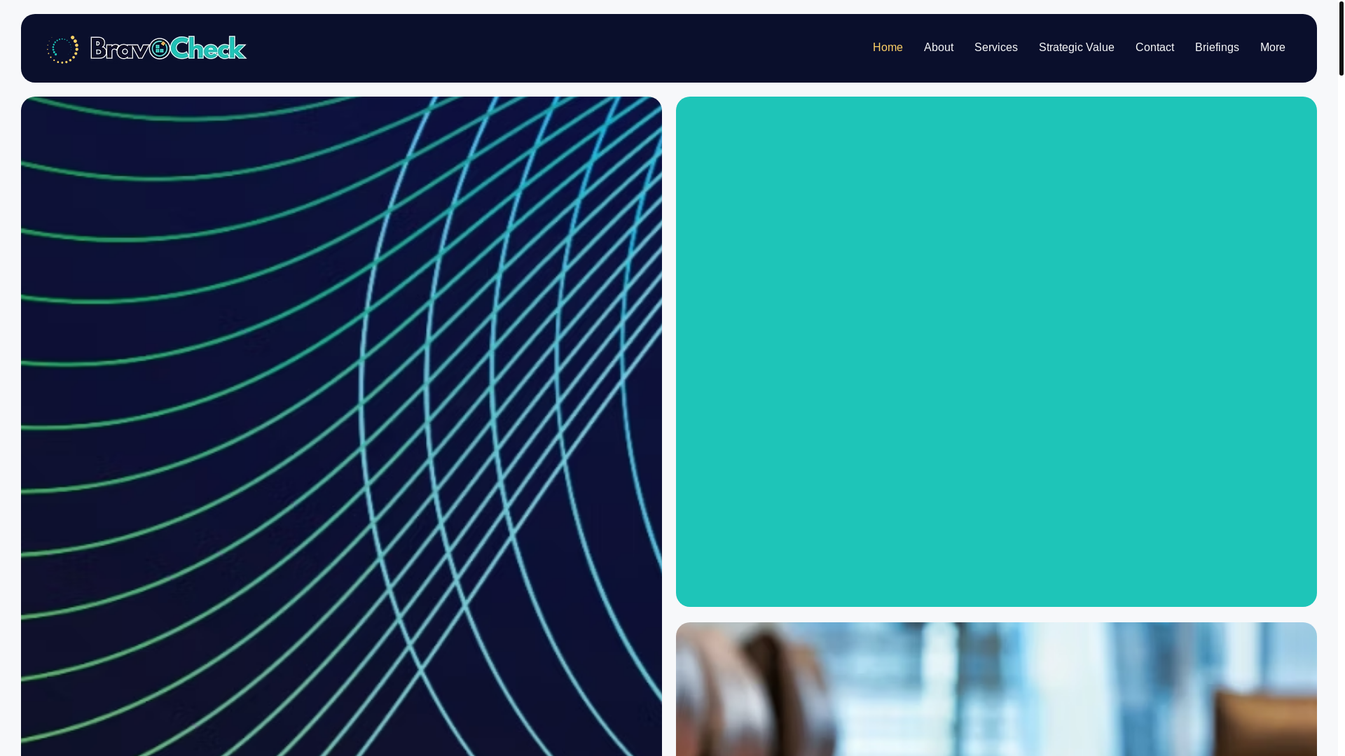 website screenshot of https://bravocheck.pro/