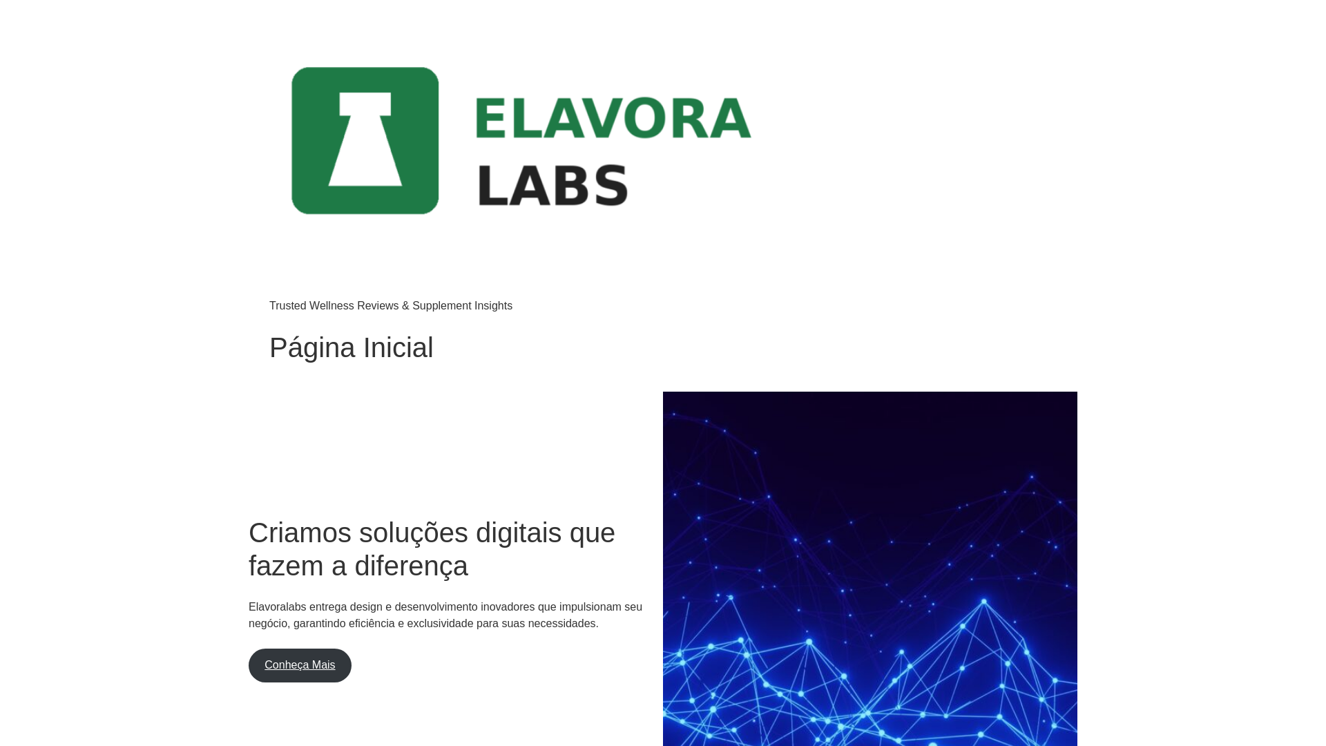 website screenshot of https://elavoralabs.com/