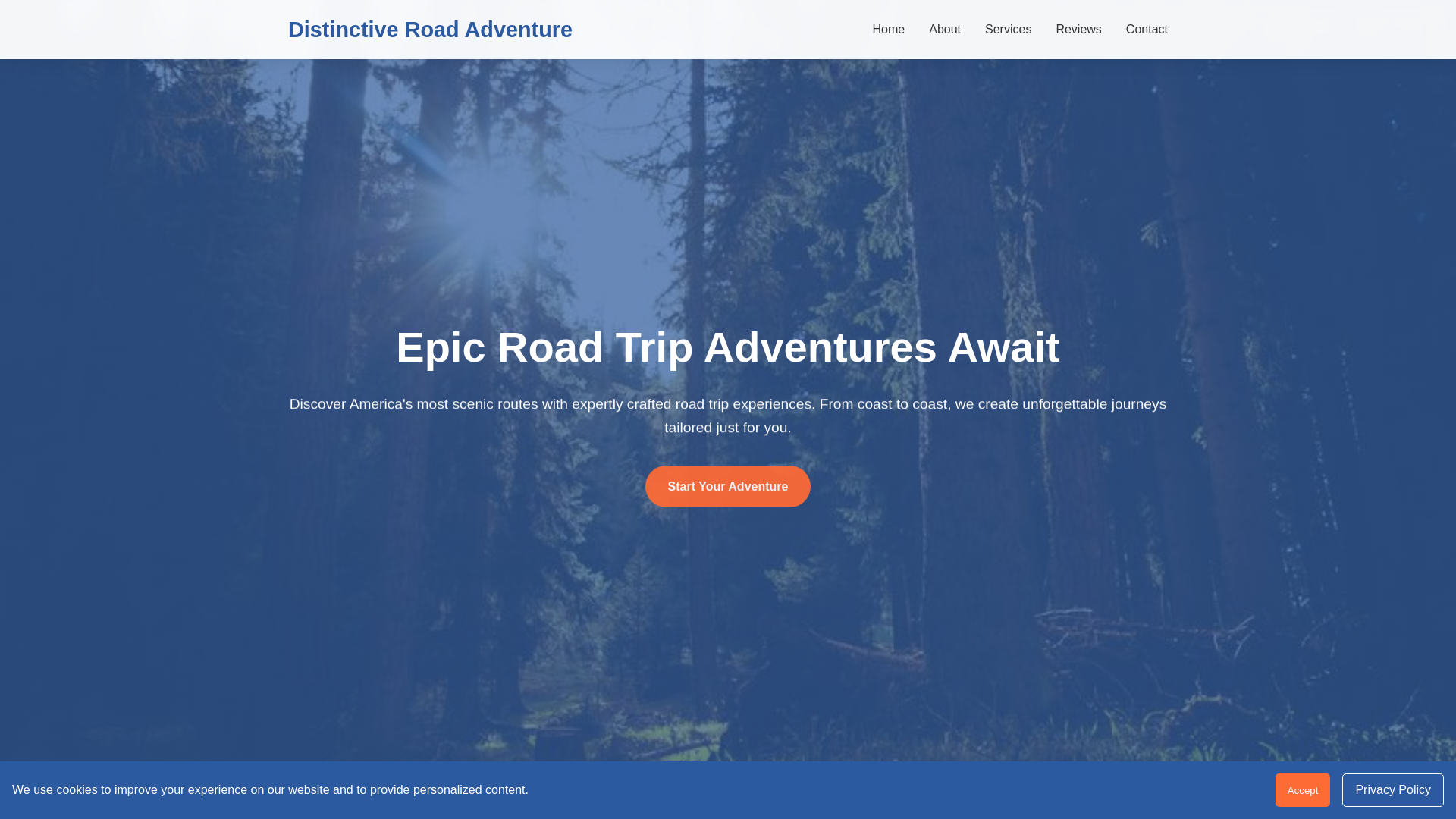 website screenshot of https://distinctiveroadventure.digital/