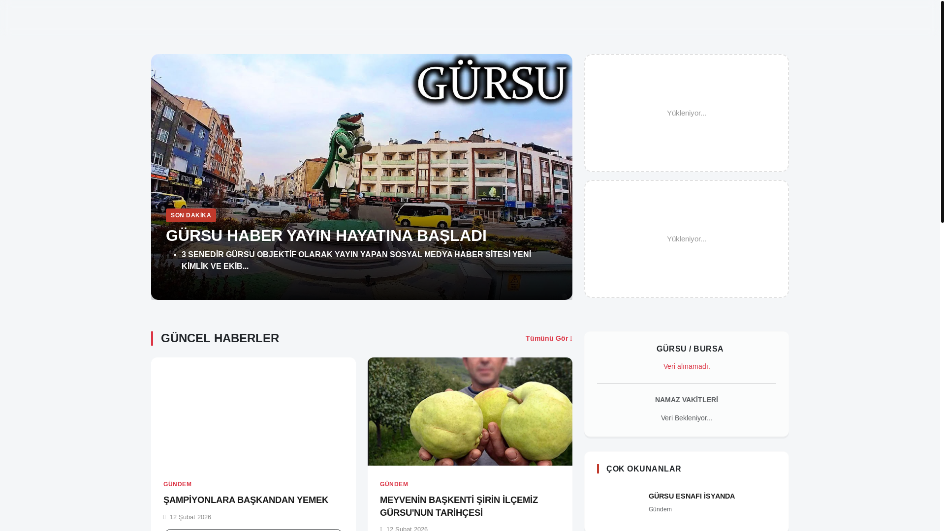 website screenshot of https://gursuhaber.org/