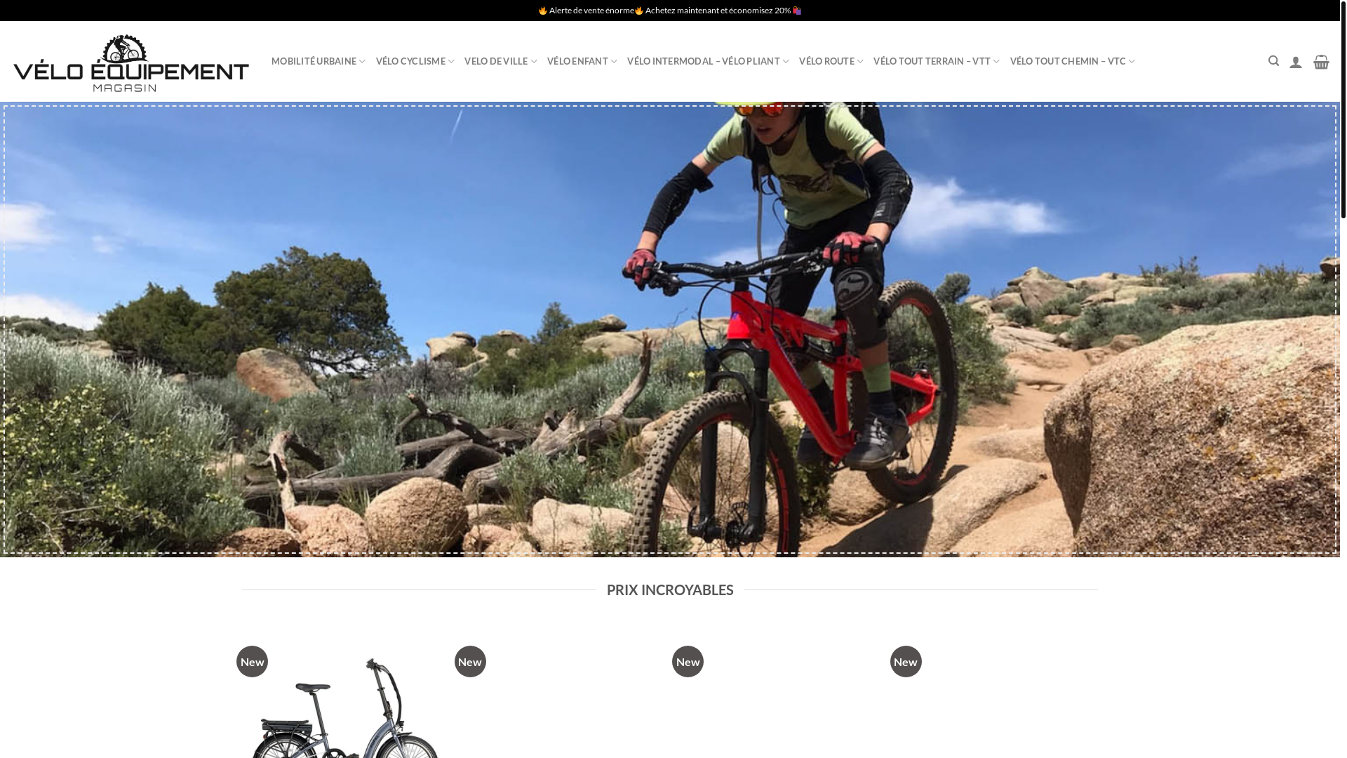 website screenshot of https://frveloremise.com/
