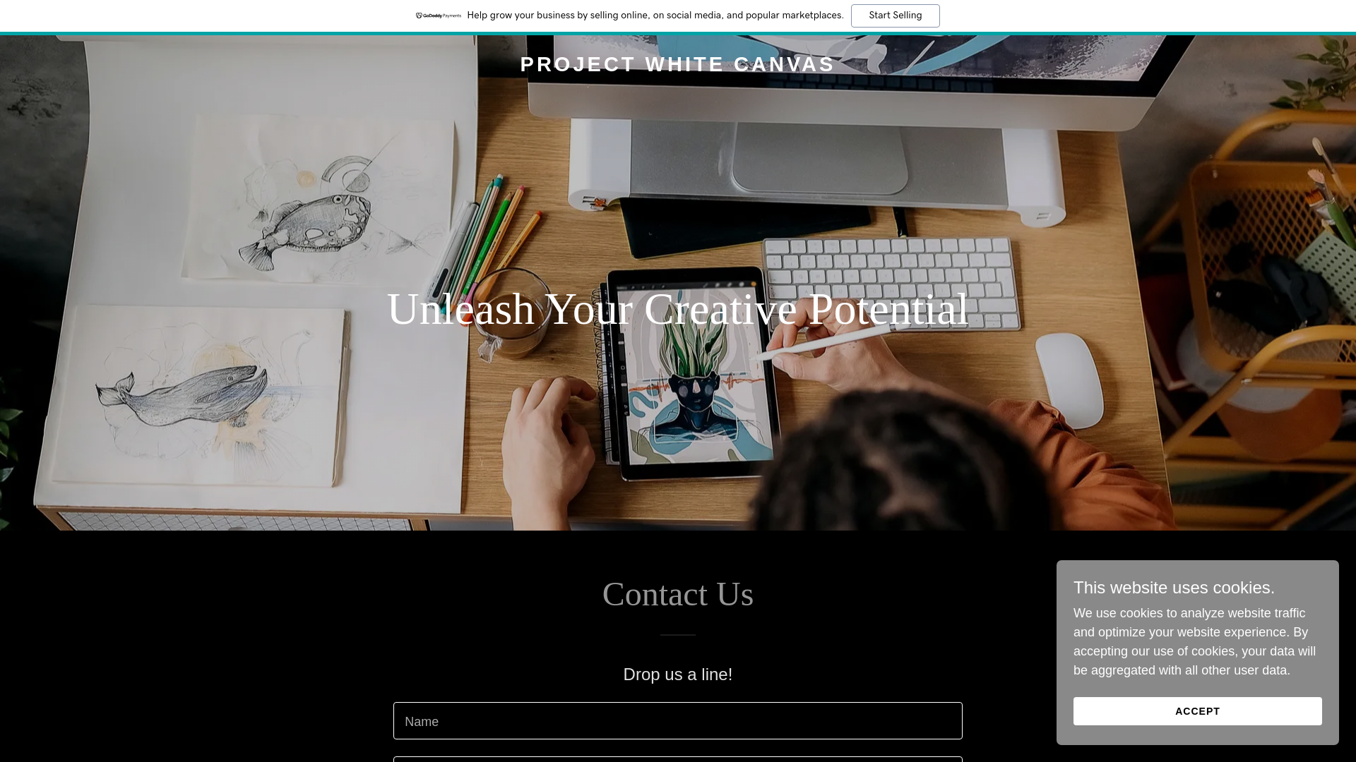 website screenshot of https://projectwhitecanvas.com/