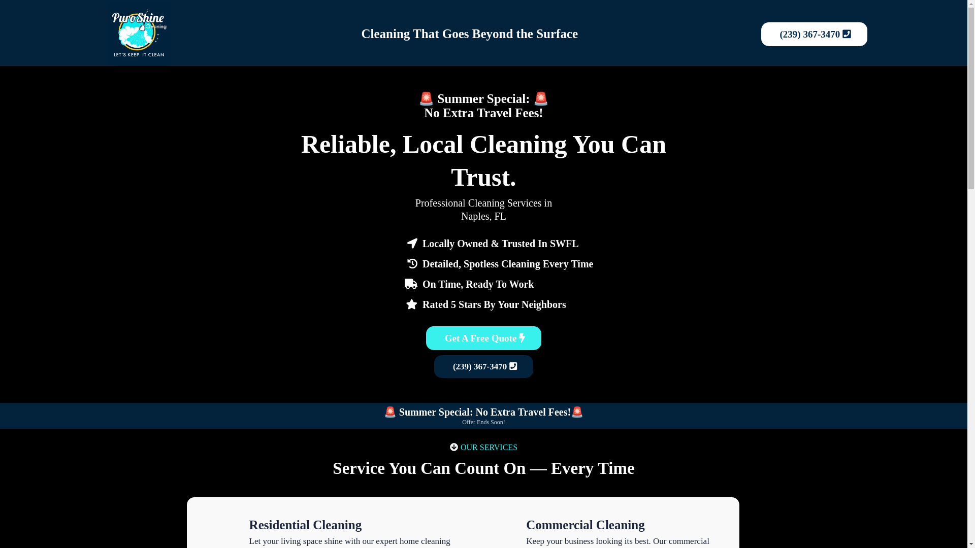 website screenshot of https://puroshine.com/