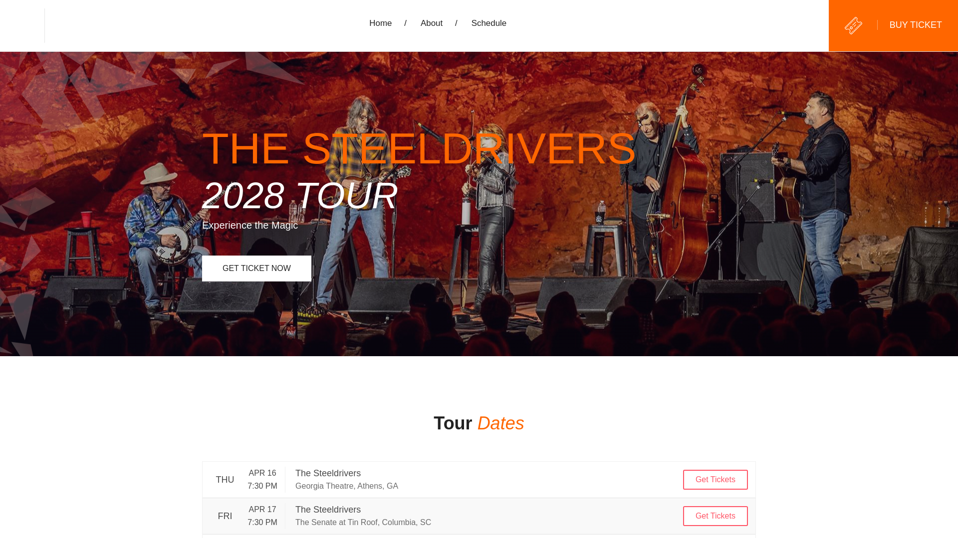 website screenshot of https://thesteeldriverstour2028.us/