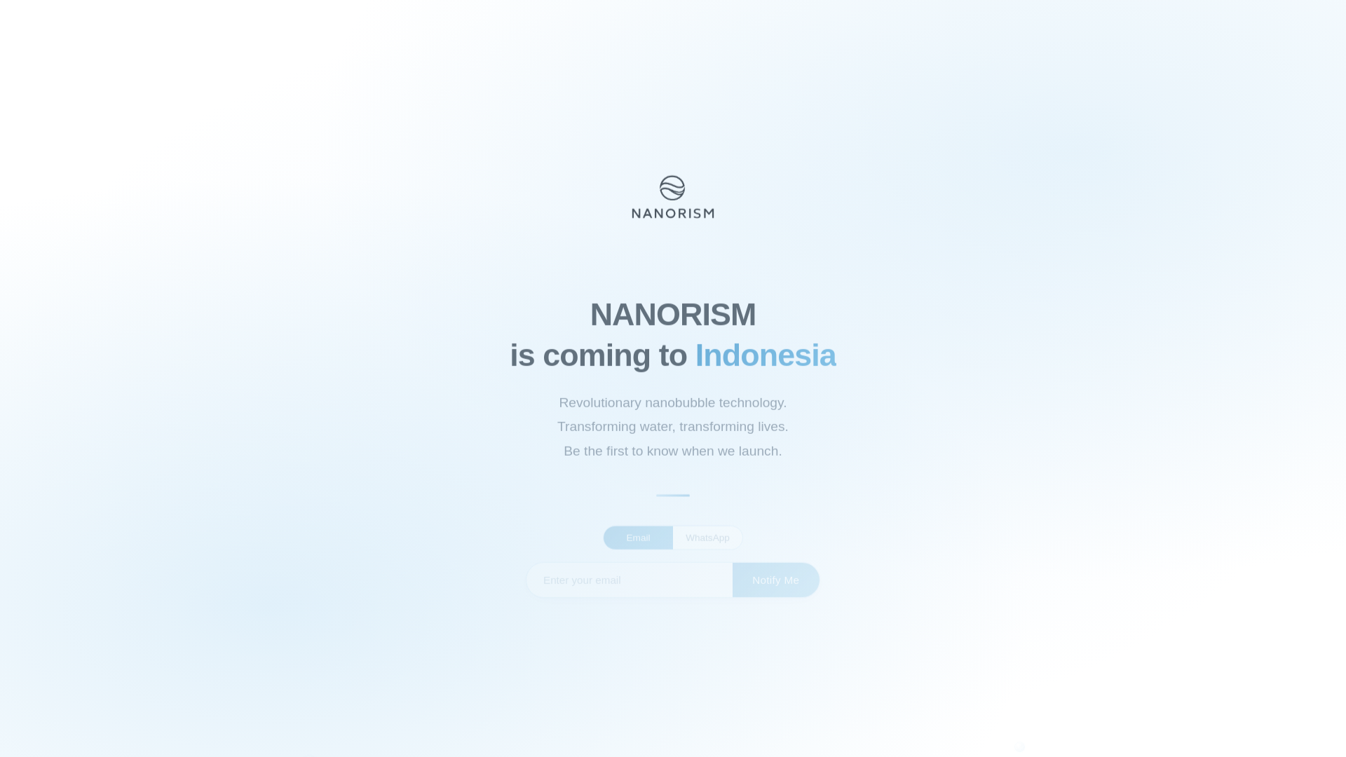 website screenshot of https://nanorism.com/