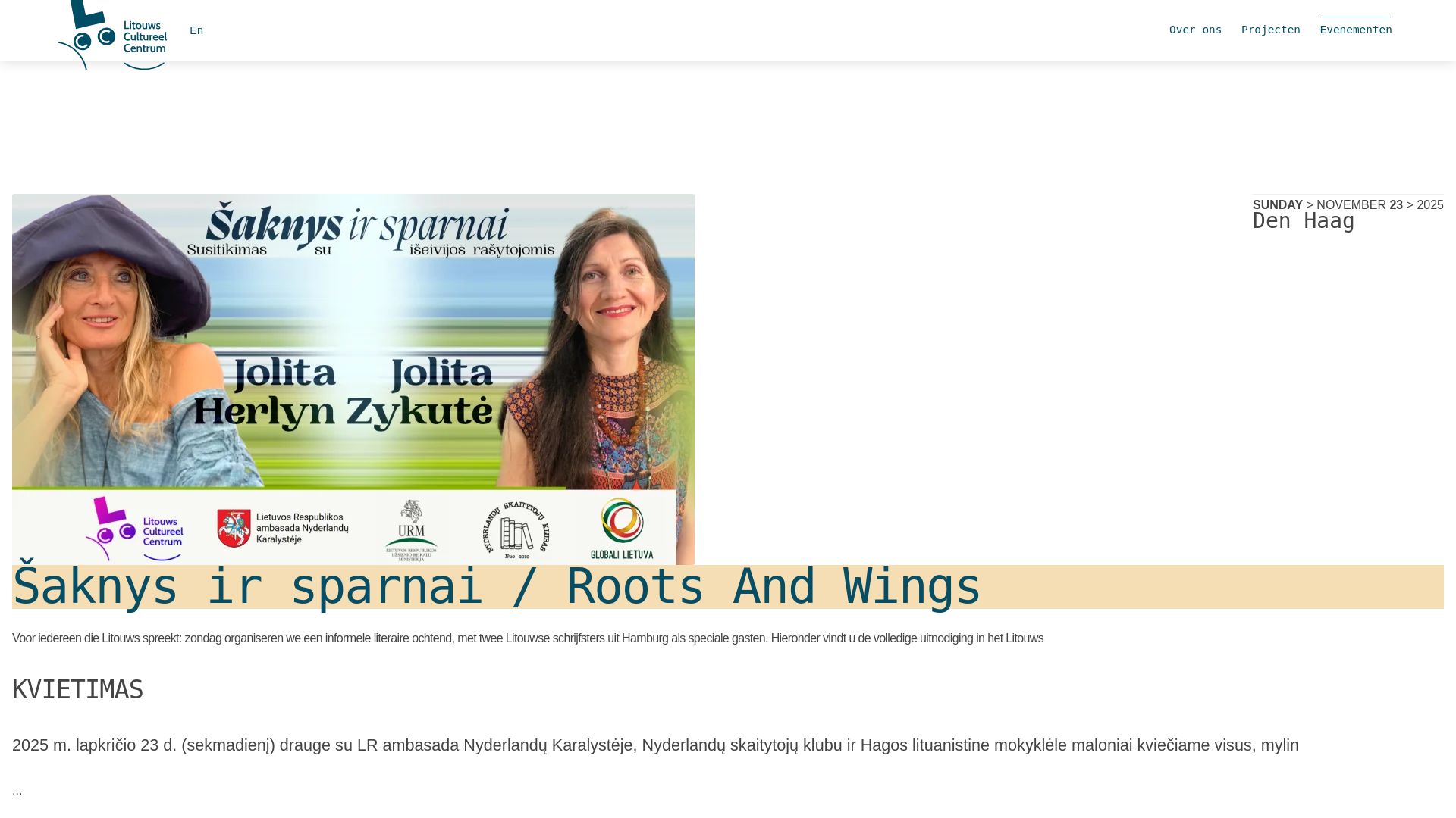 website screenshot of https://litouwscc.com/