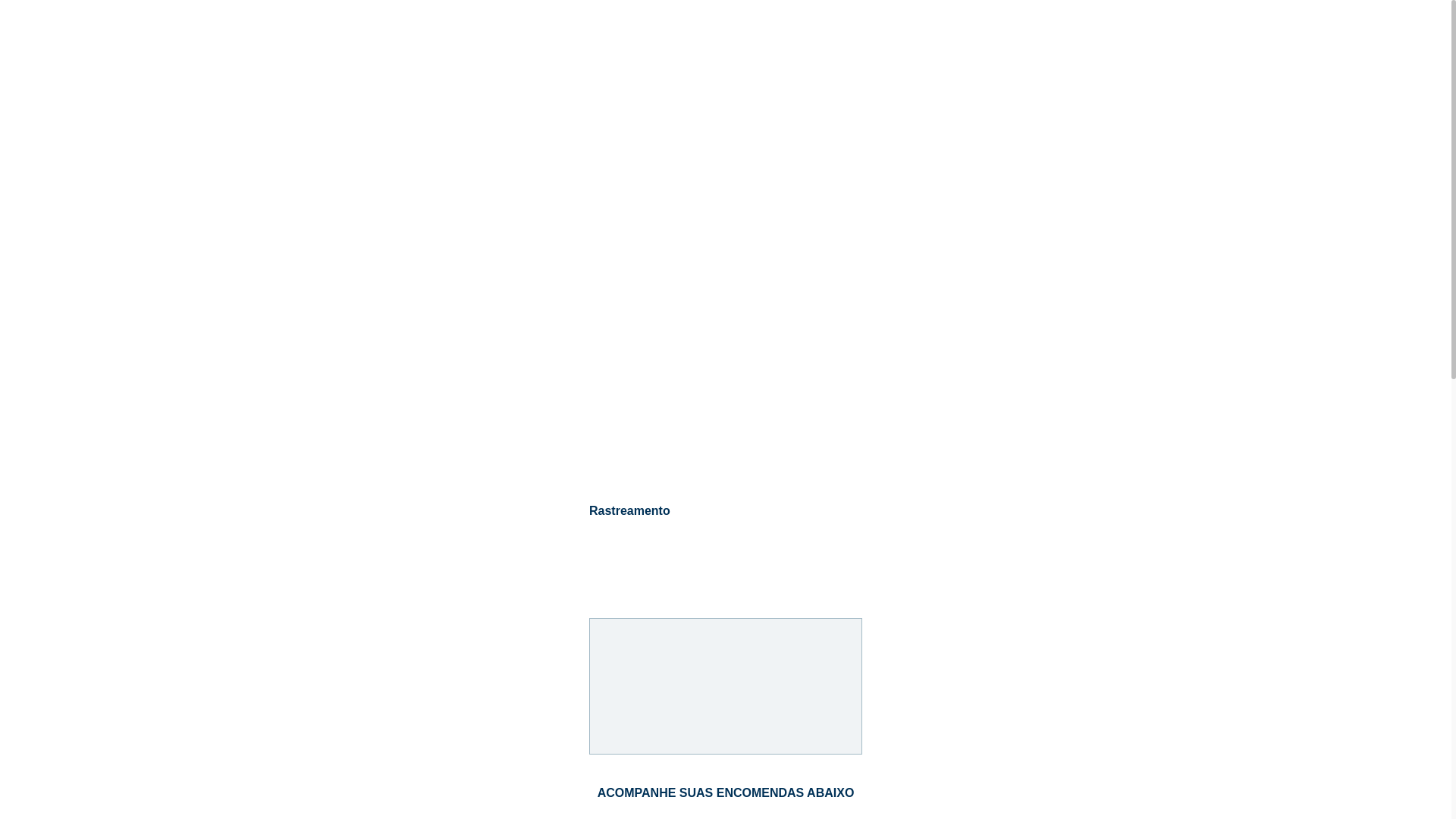 website screenshot of https://pacotesderastreio.site/