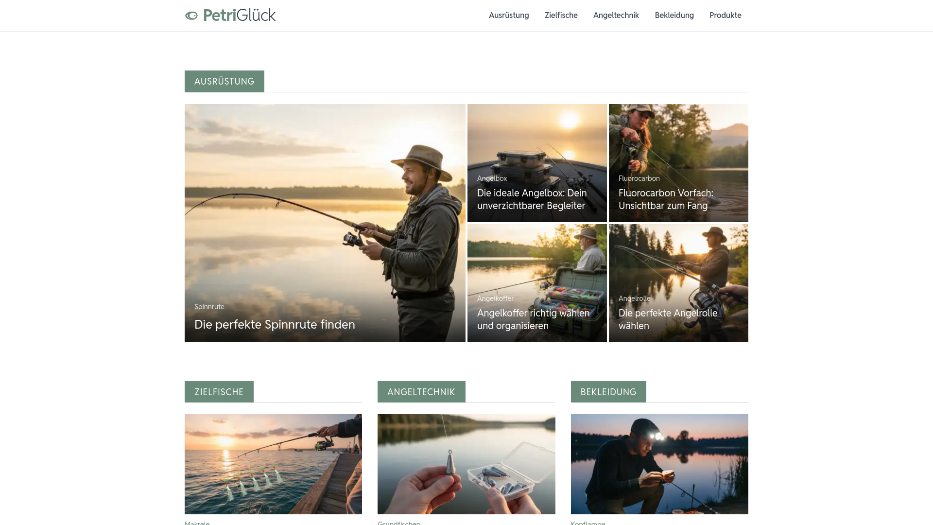 website screenshot of https://petriglueck.de/
