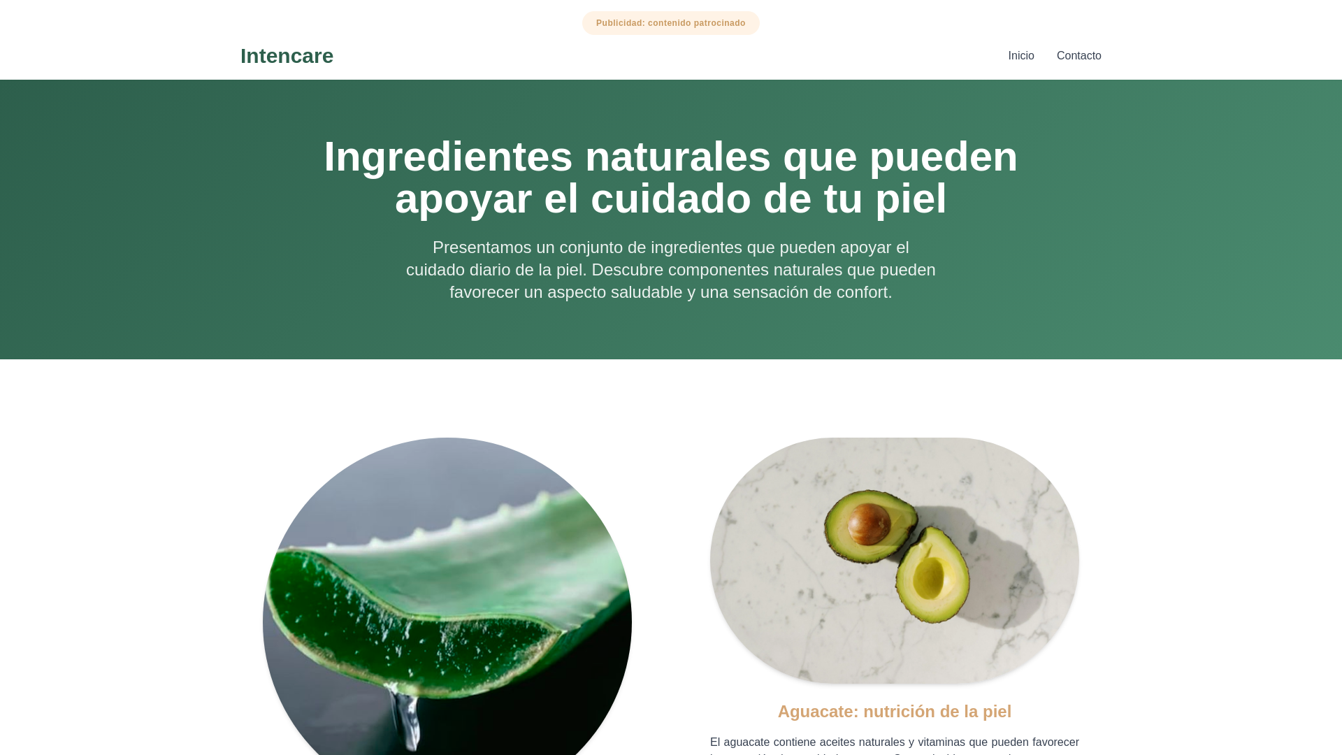 website screenshot of https://intencarees.top