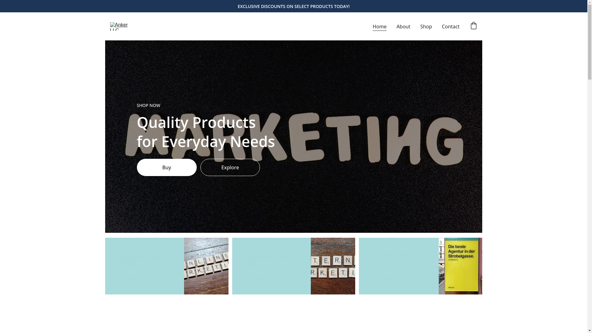website screenshot of https://ankerllc.online/