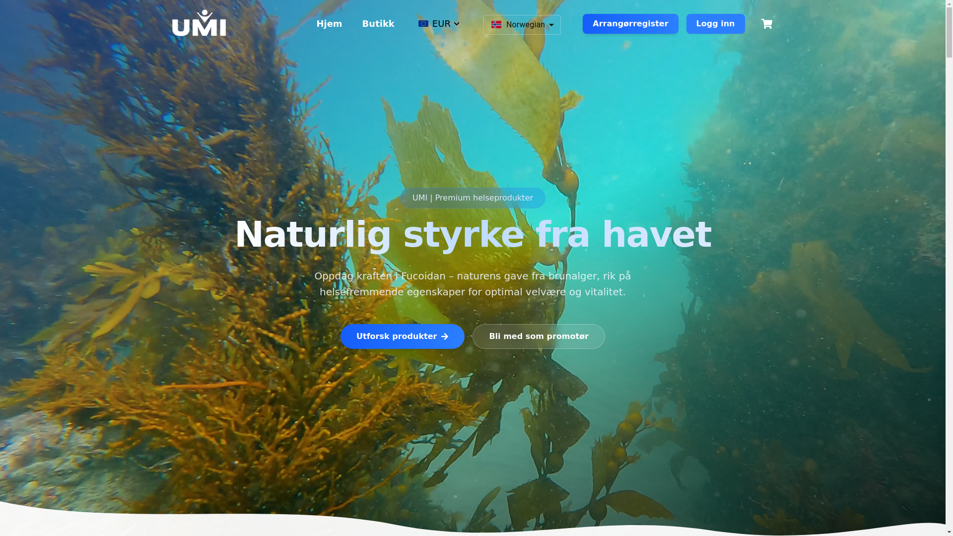 website screenshot of https://theumicompany.com/