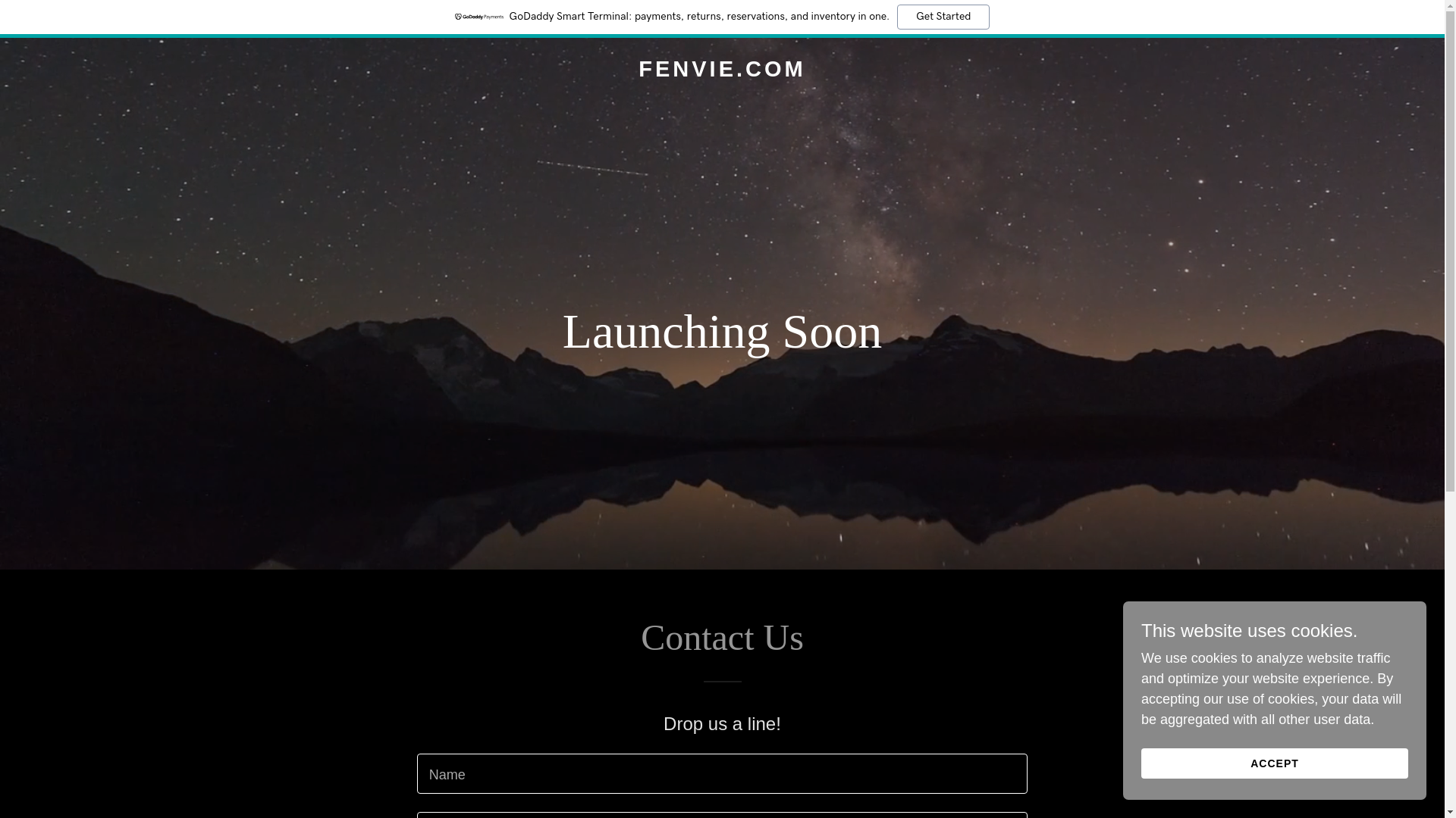website screenshot of https://fenvie.com/